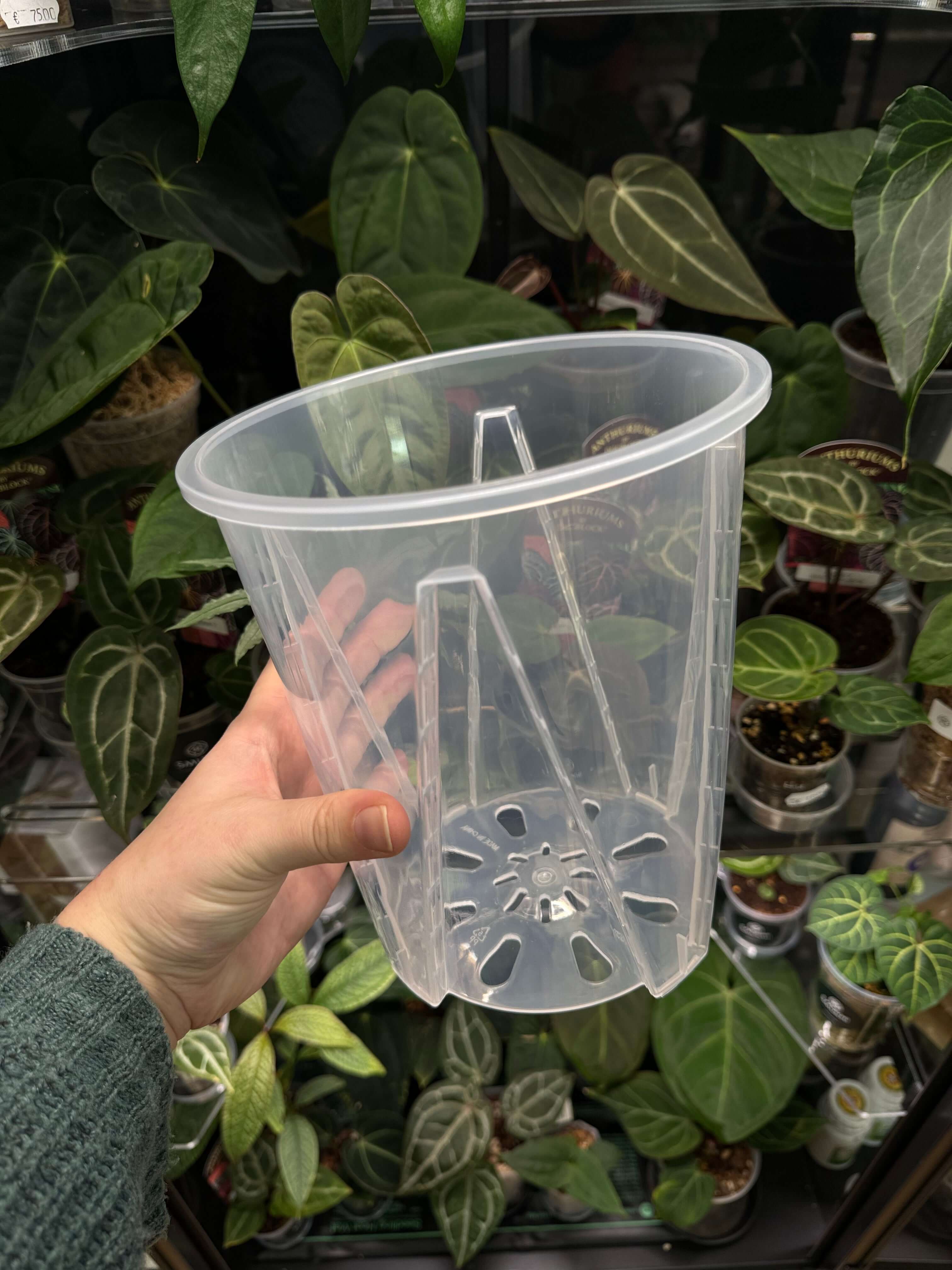 Clear Anti-Spiral Plastic Pots