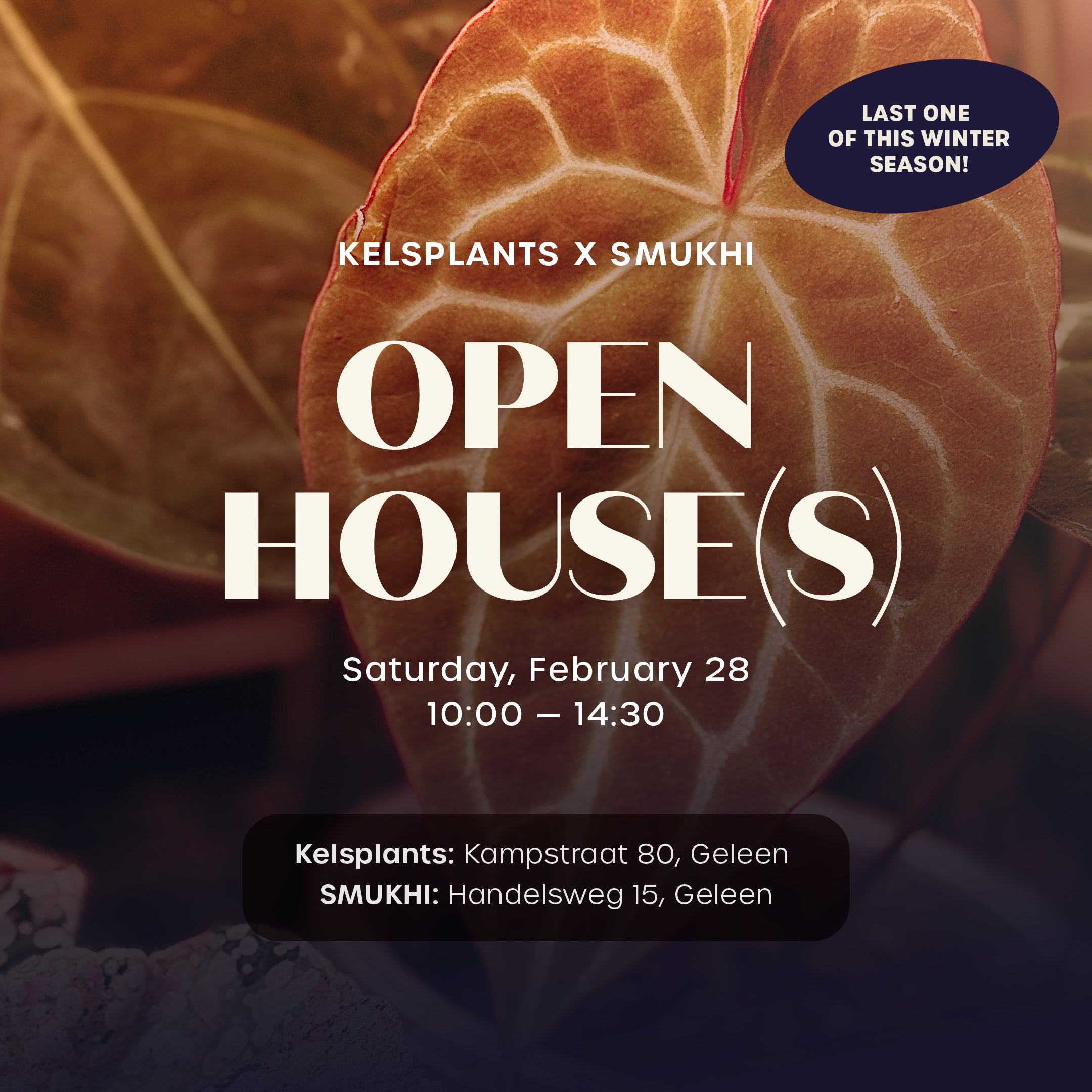Open House - Free Entry Ticket