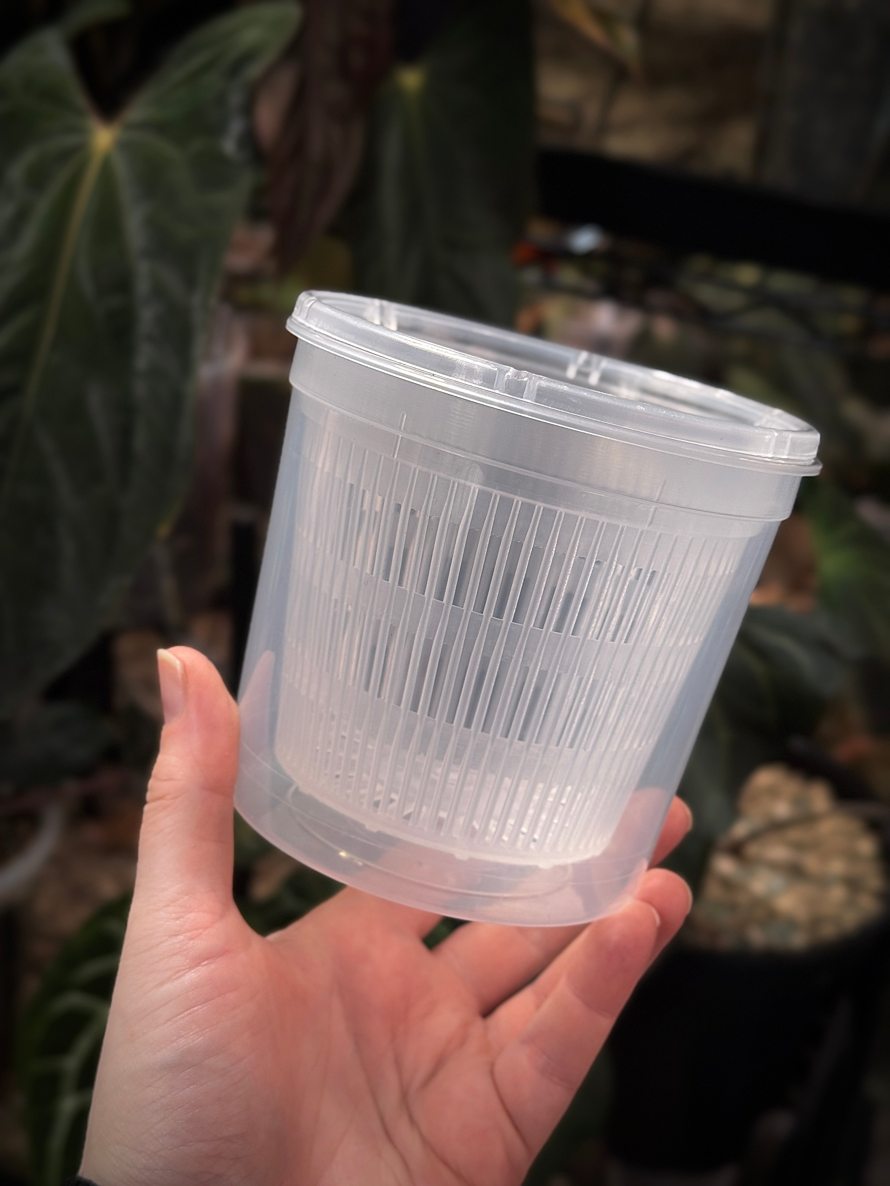 Hydroponic Mesh Pots