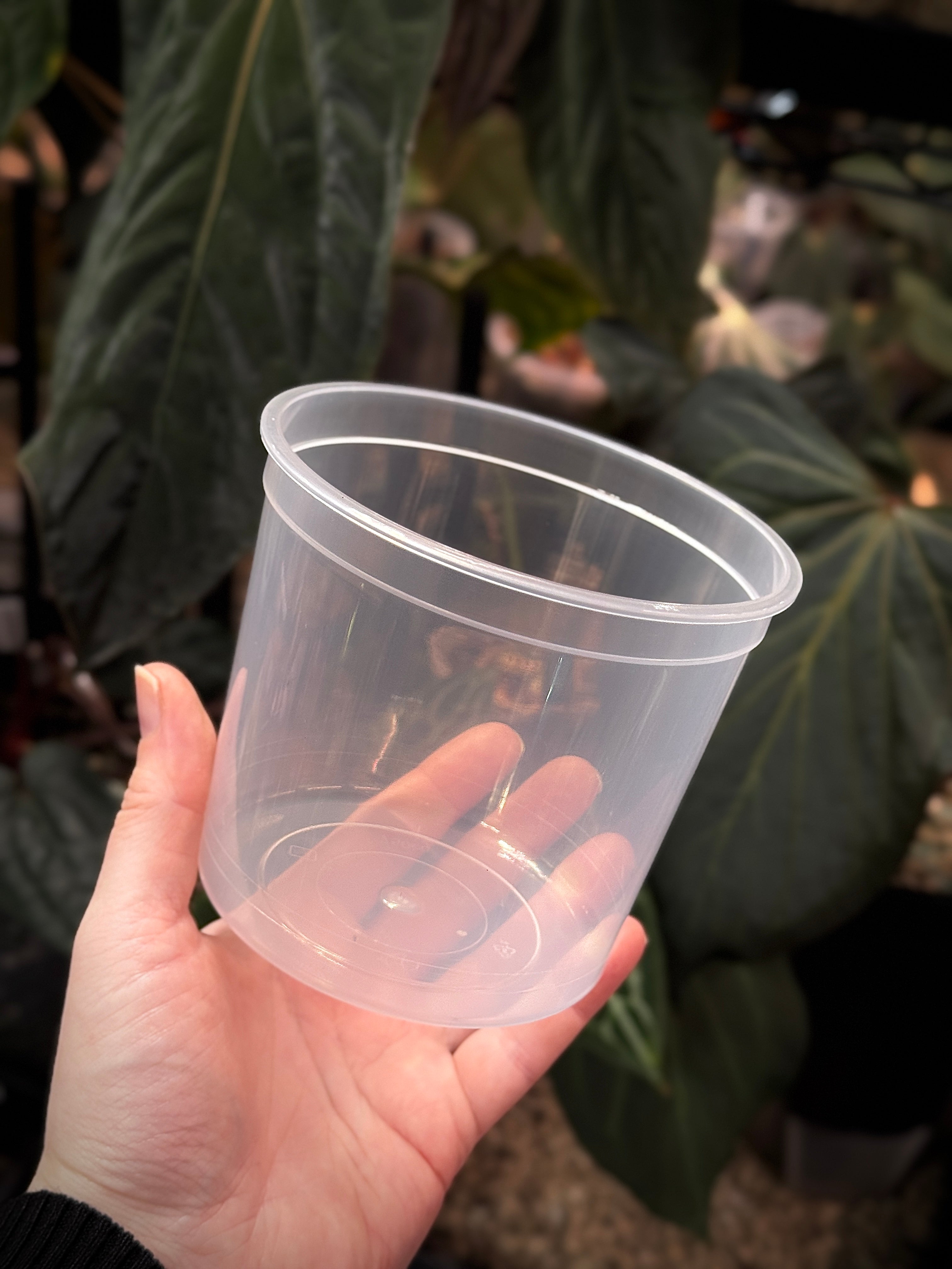 Plastic Cup/Pot - 5 pcs