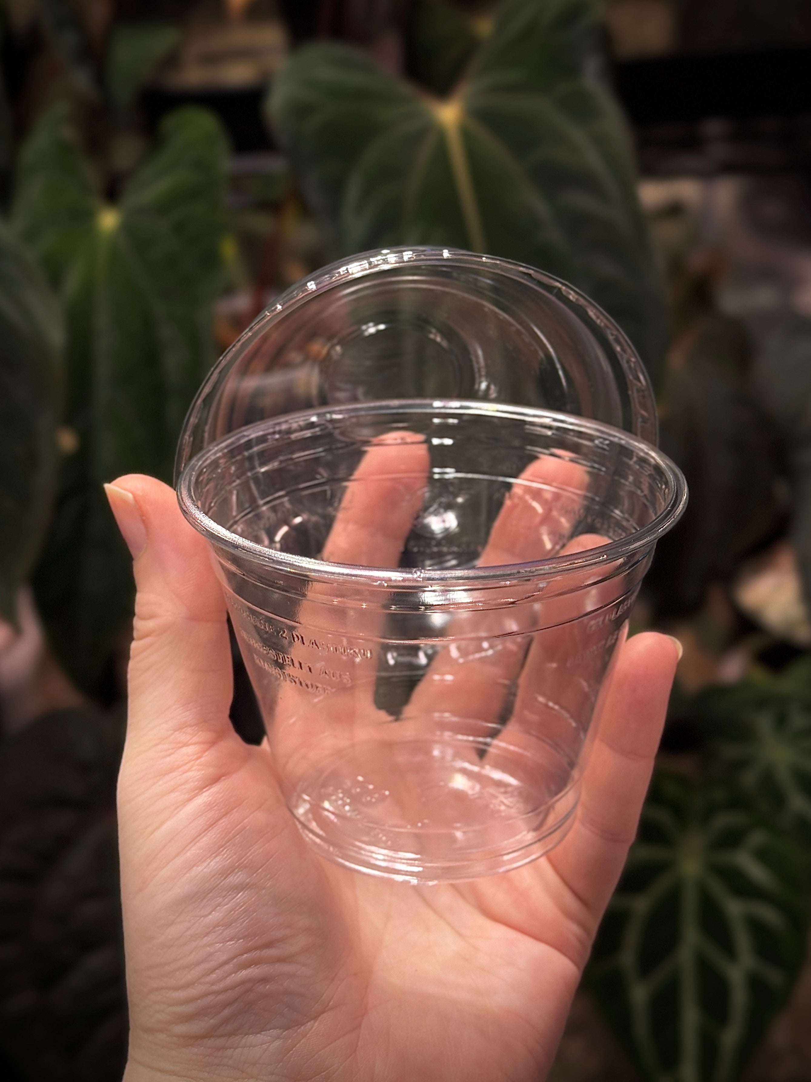 Plastic Cup With Dome Lid - 5 pcs