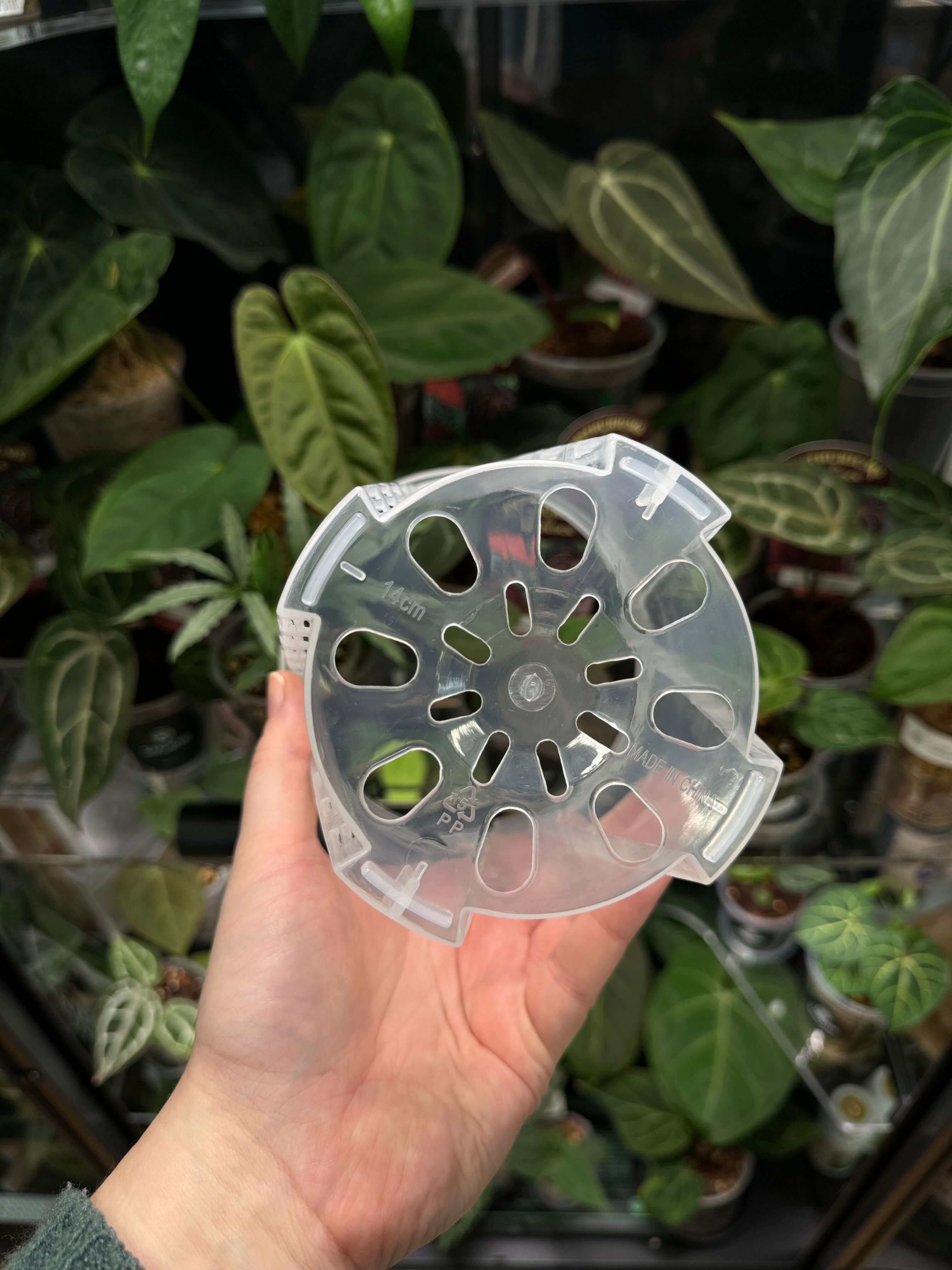 Clear Anti-Spiral Plastic Pots