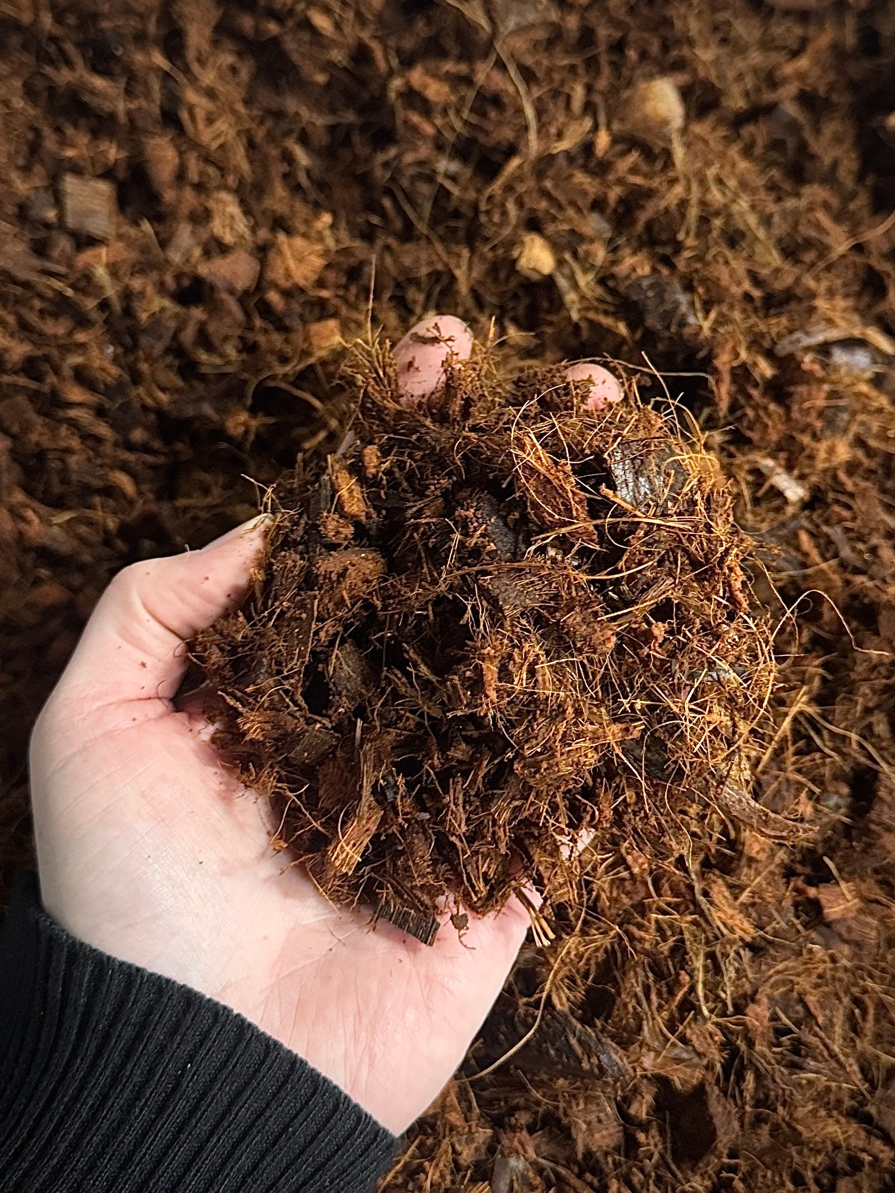 Coco Husk Chips & Fiber Mix