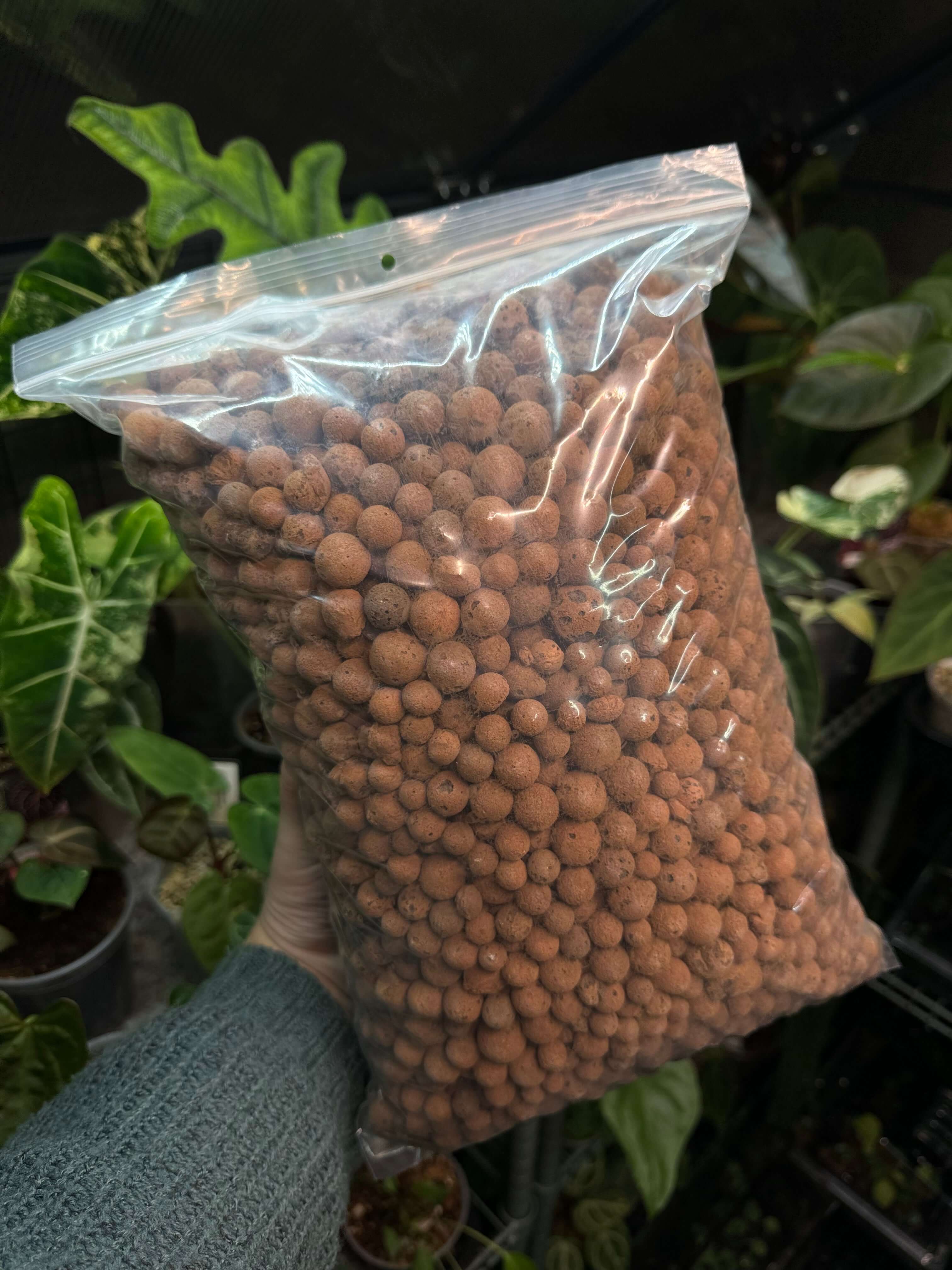 Clay Pebbles - 5L