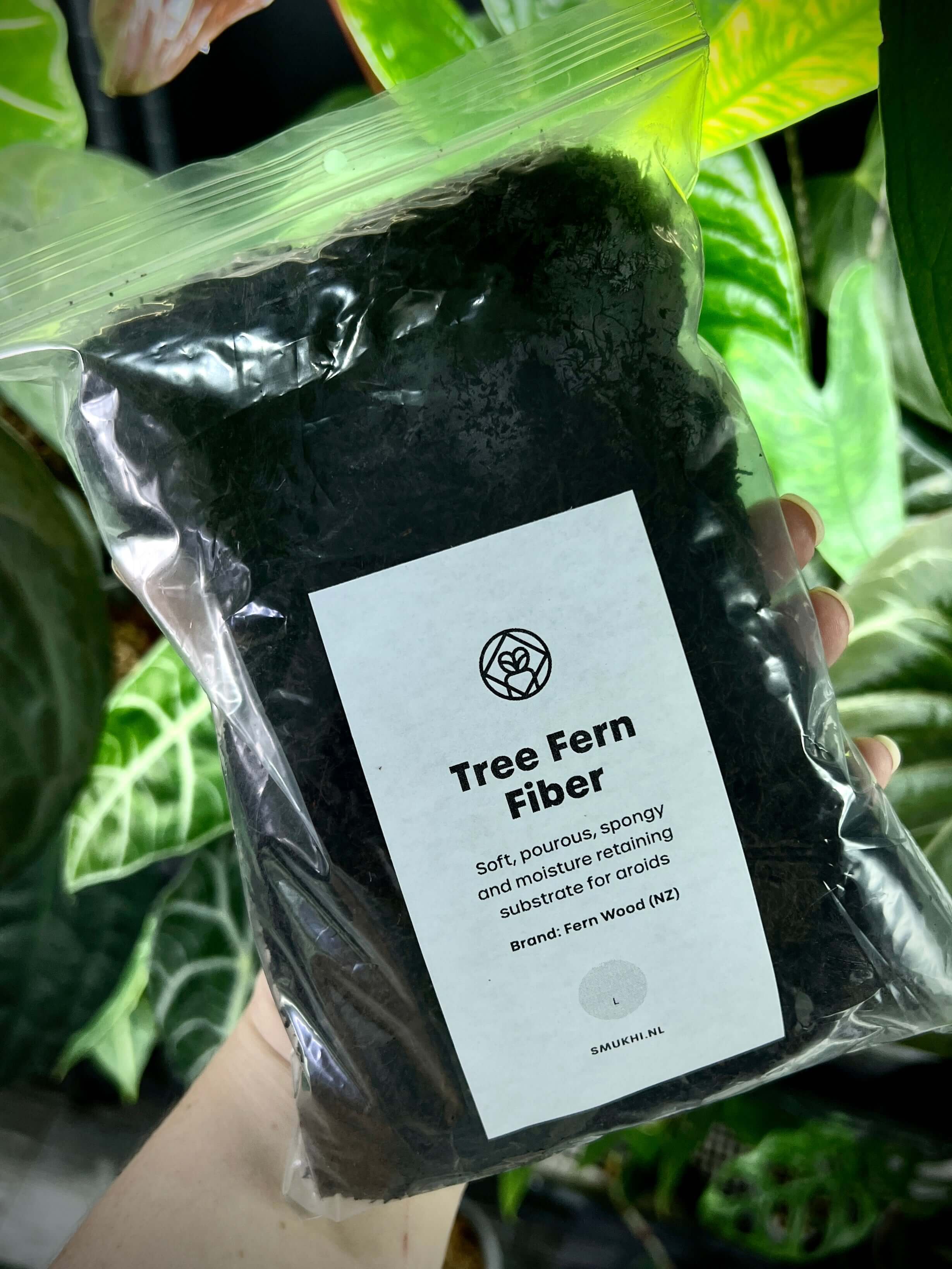 New-Zealand Tree Fern Fiber