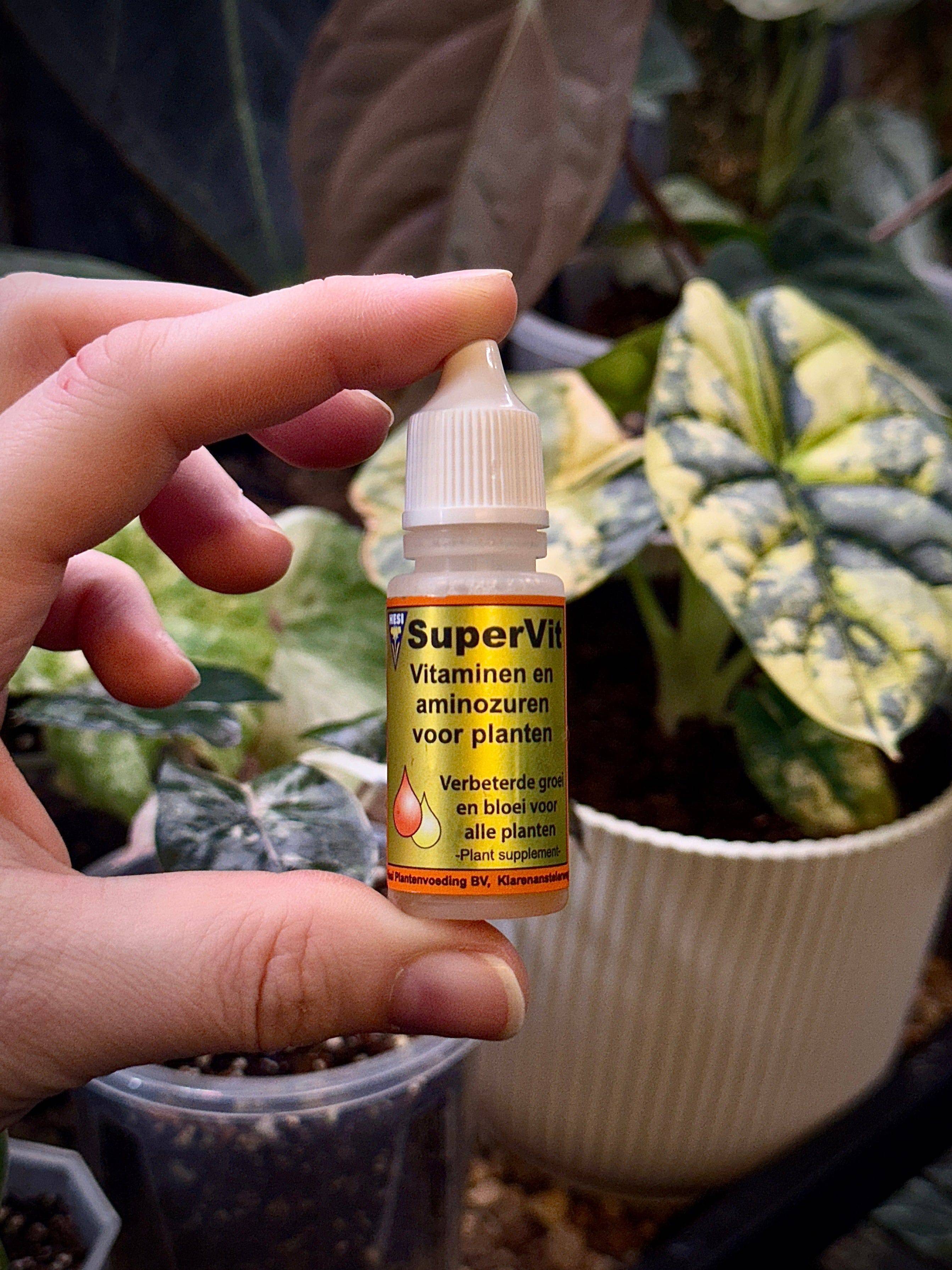 Hesi Supervit - Vitamins & Amino Acids - SMUKHI