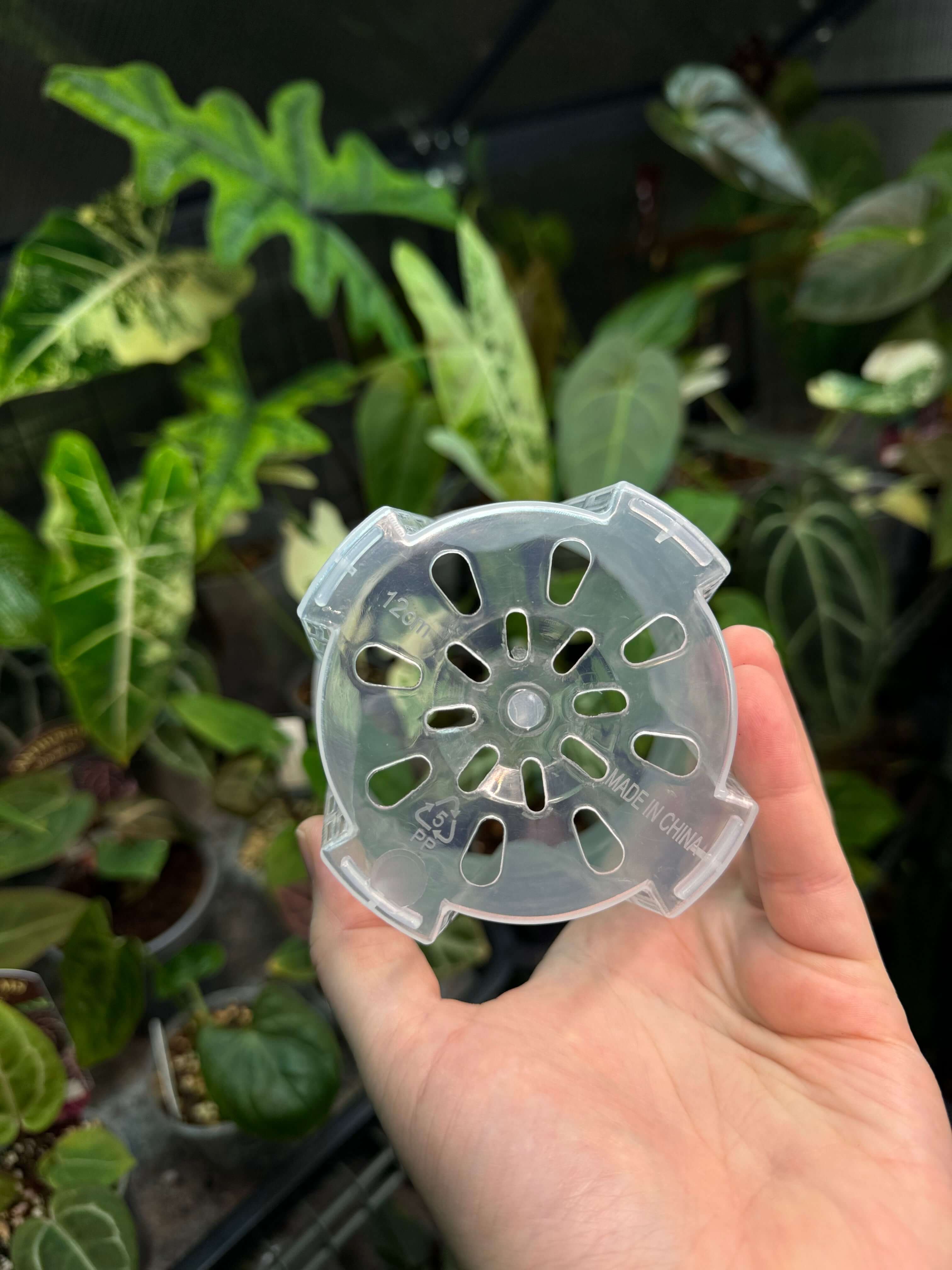 Clear Anti-Spiral Plastic Pots