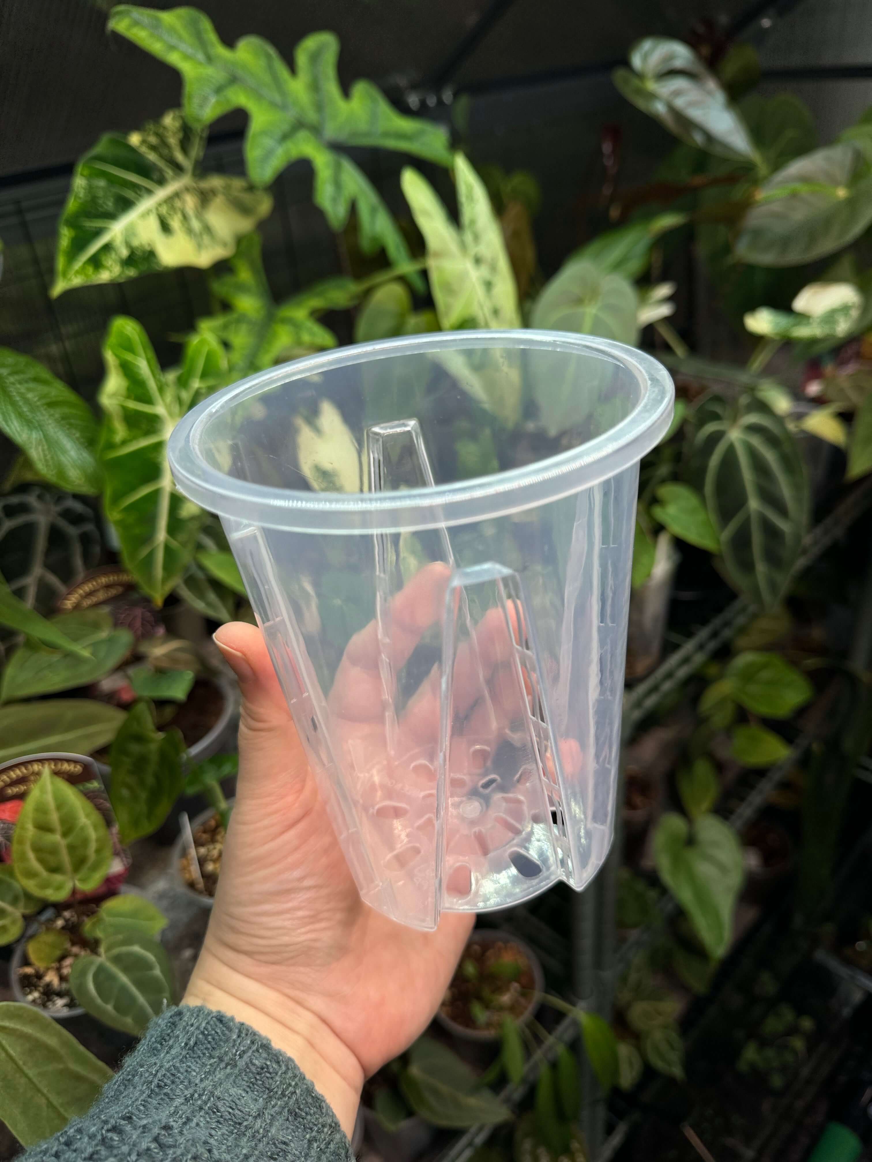 Clear Anti-Spiral Plastic Pots