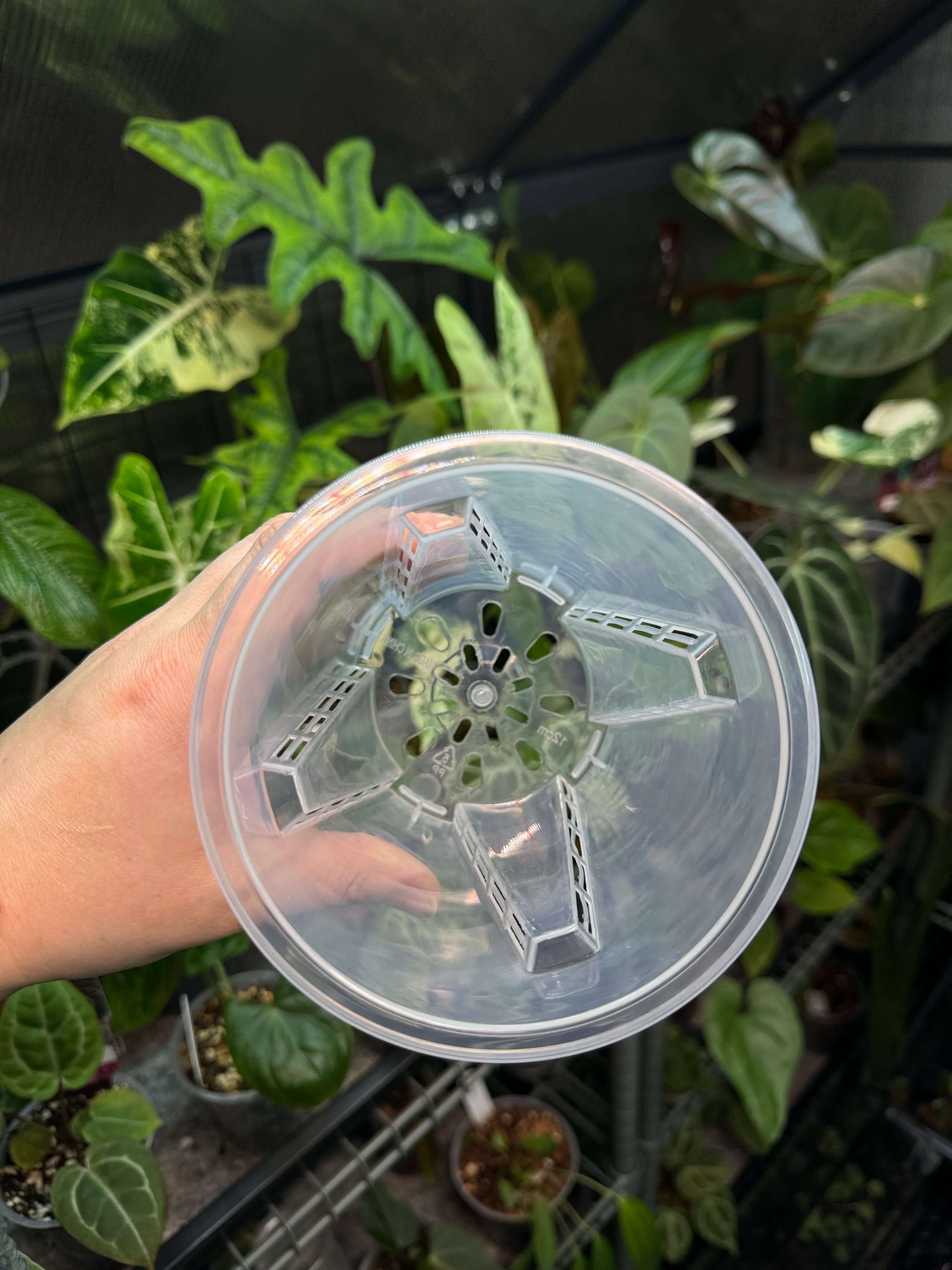 Clear Anti-Spiral Plastic Pots