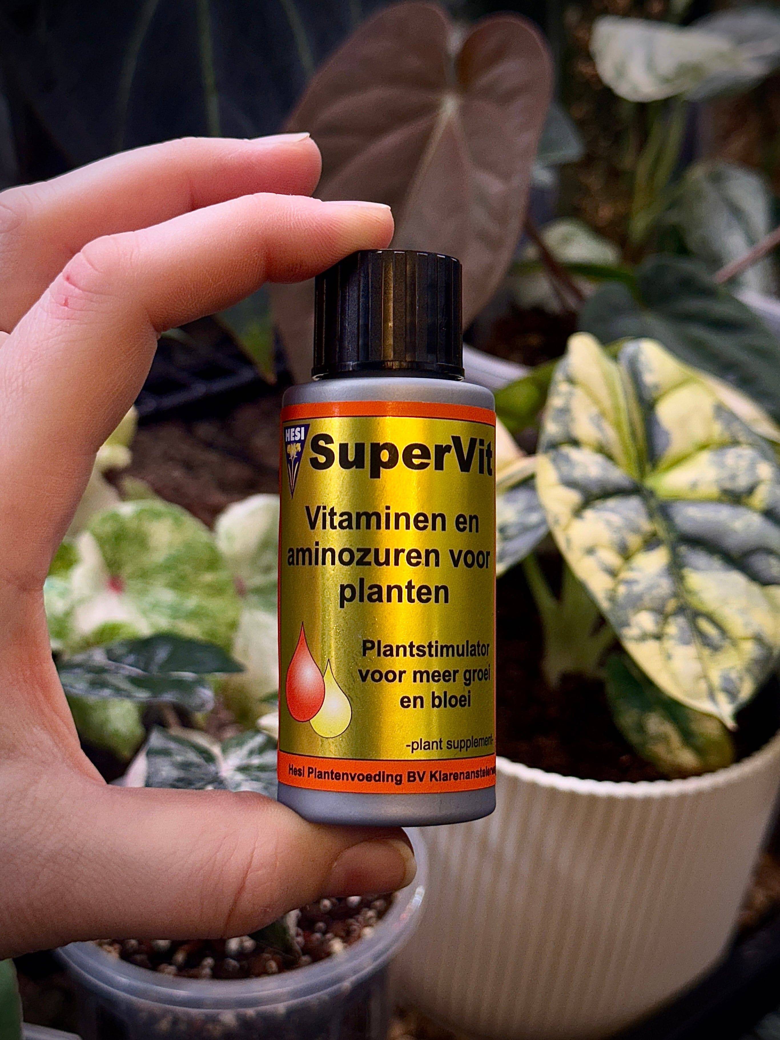 Hesi Supervit - Vitamins & Amino Acids - SMUKHI
