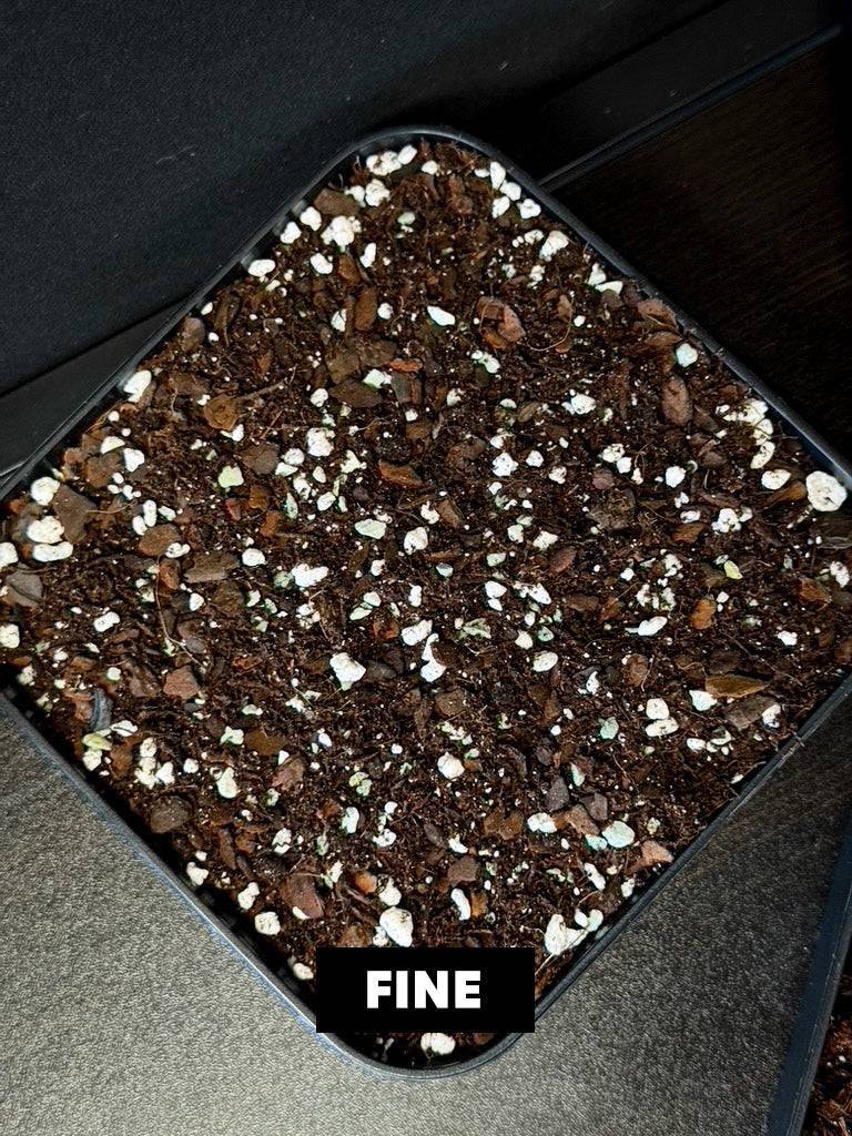 Aroid Mix 'Chunky Cruesli' - 5L - SMUKHI