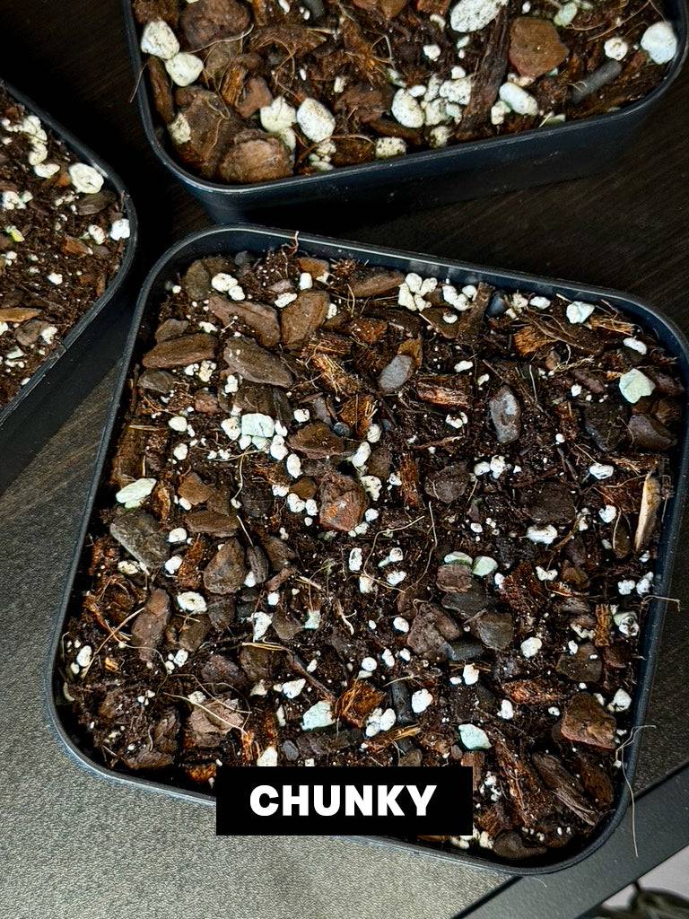 Aroid Mix 'Chunky Cruesli' - 5L - SMUKHI