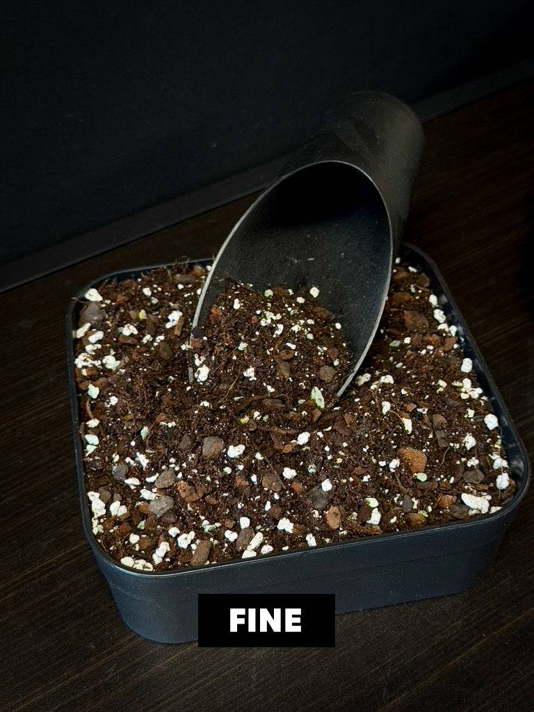 Aroid Mix 'Chunky Cruesli' - 5L - SMUKHI