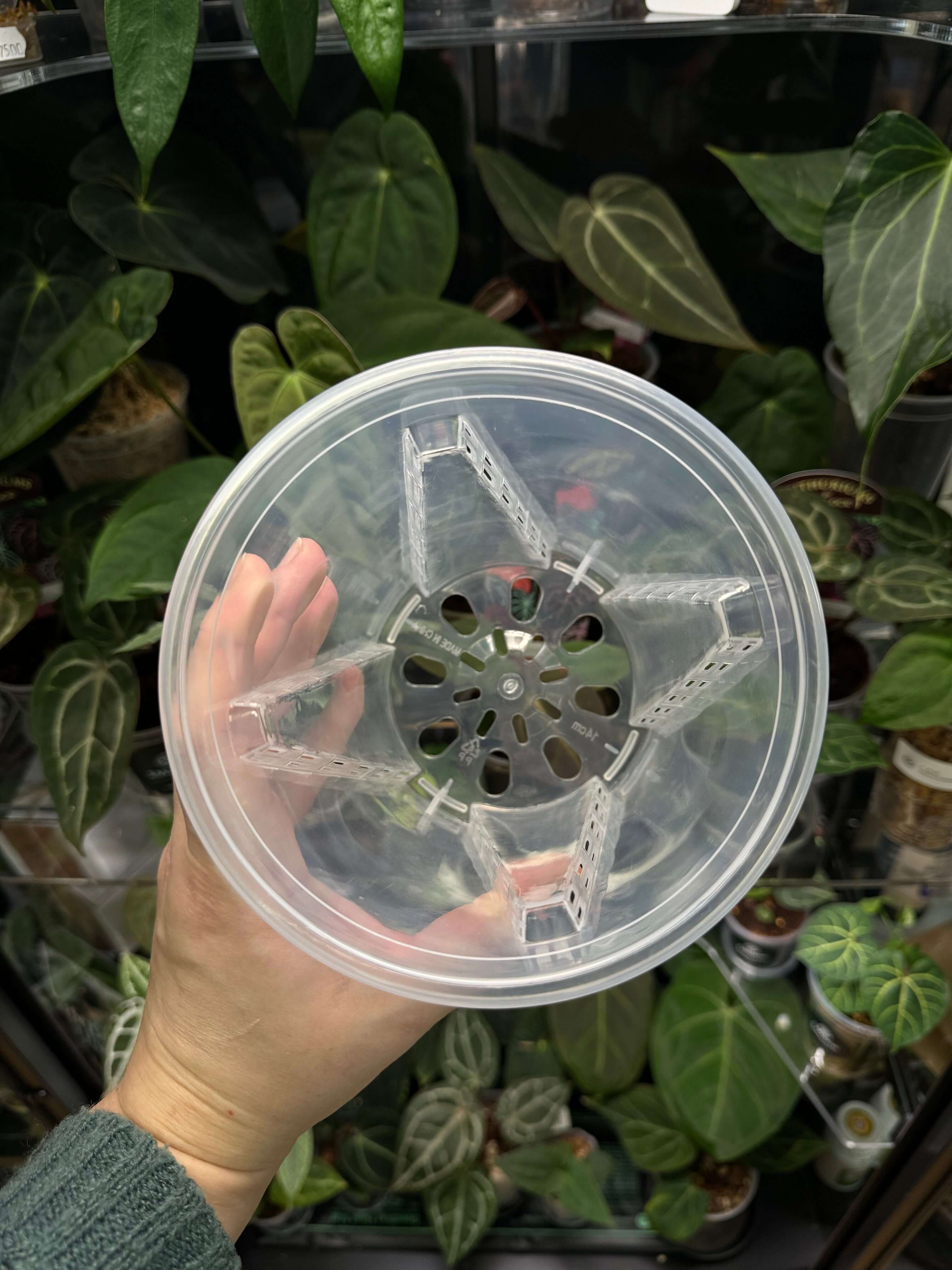 Clear Anti-Spiral Plastic Pots