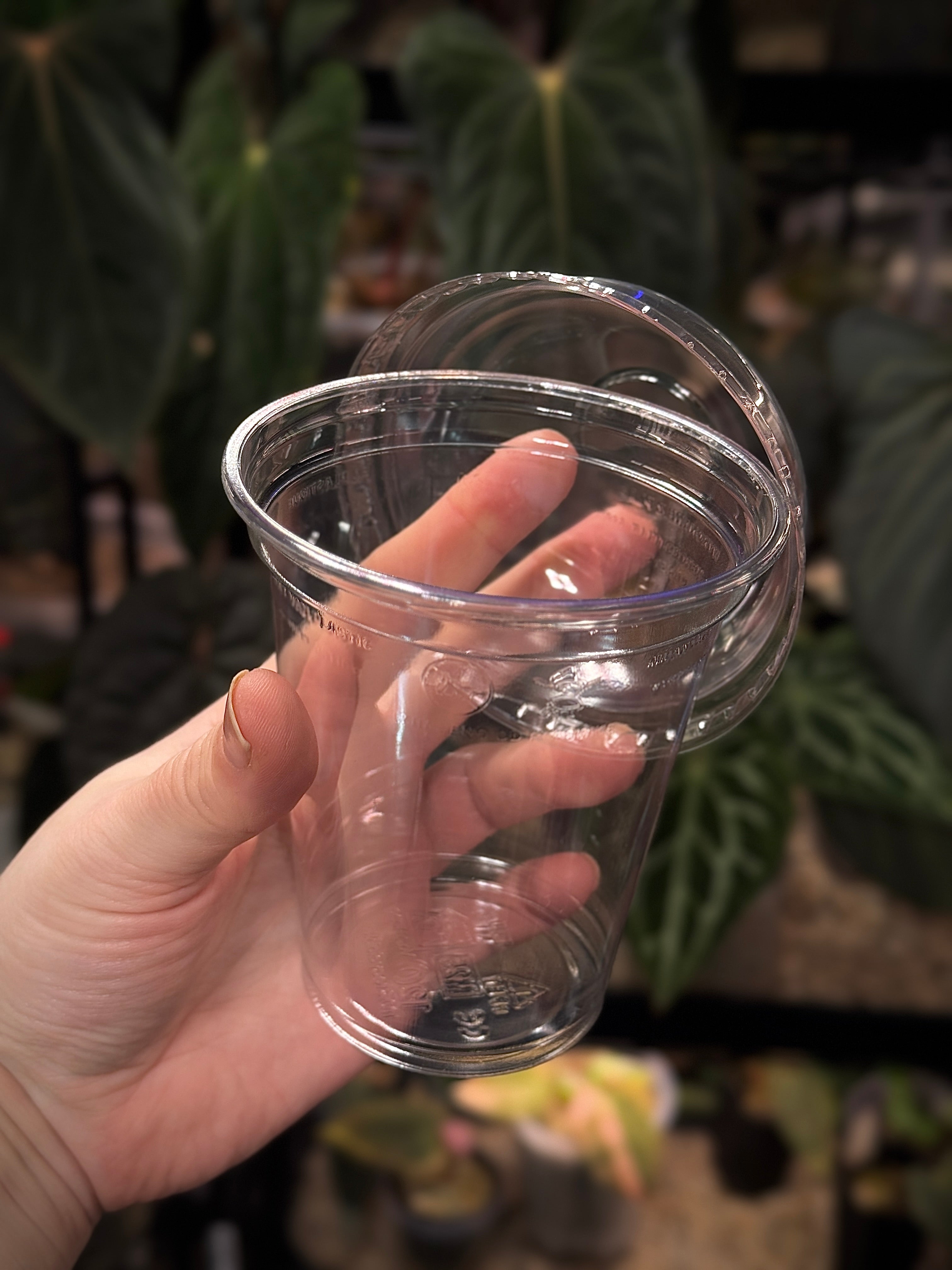 Plastic Cup With Dome Lid - 5 pcs