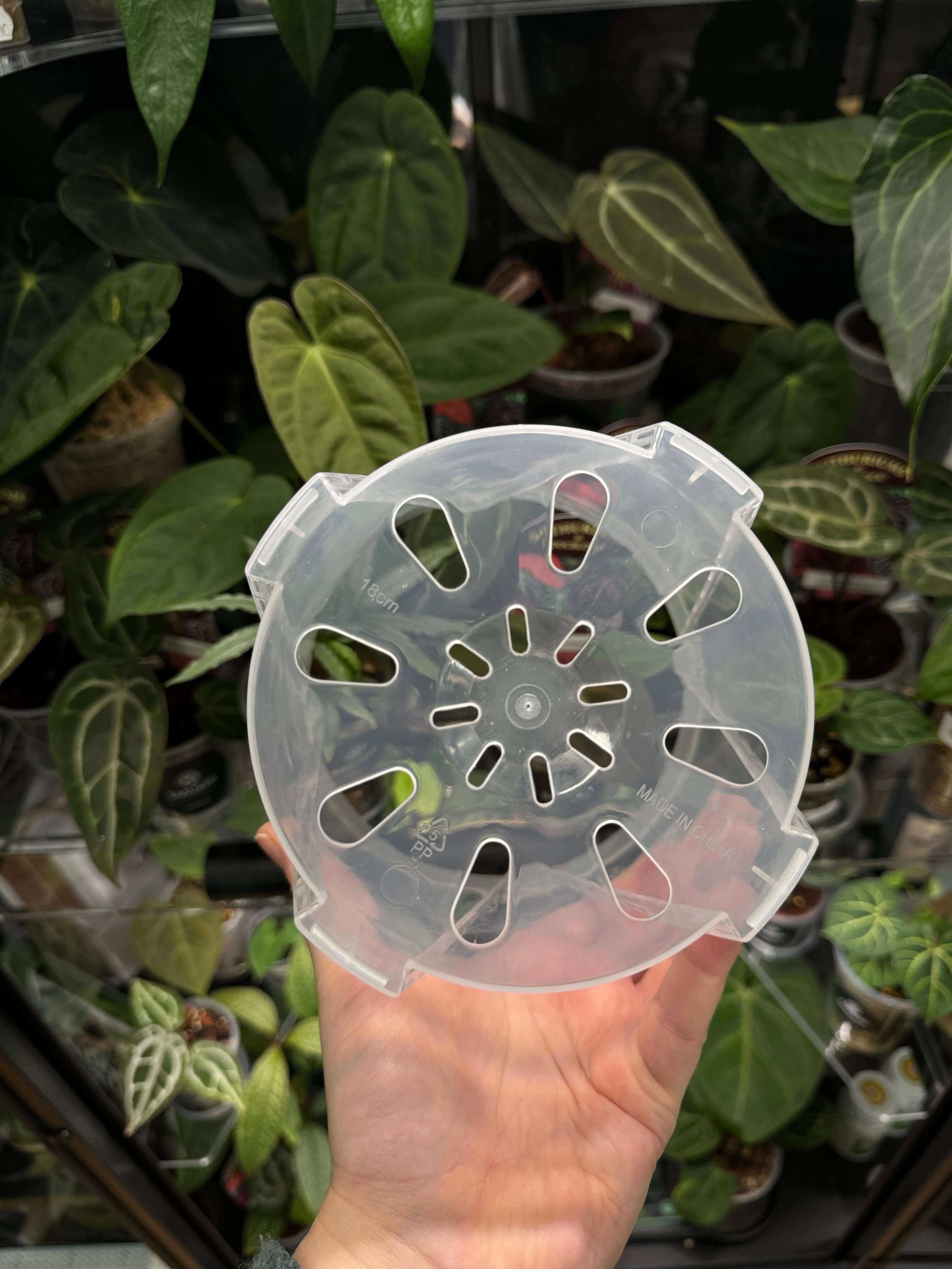 Clear Anti-Spiral Plastic Pots