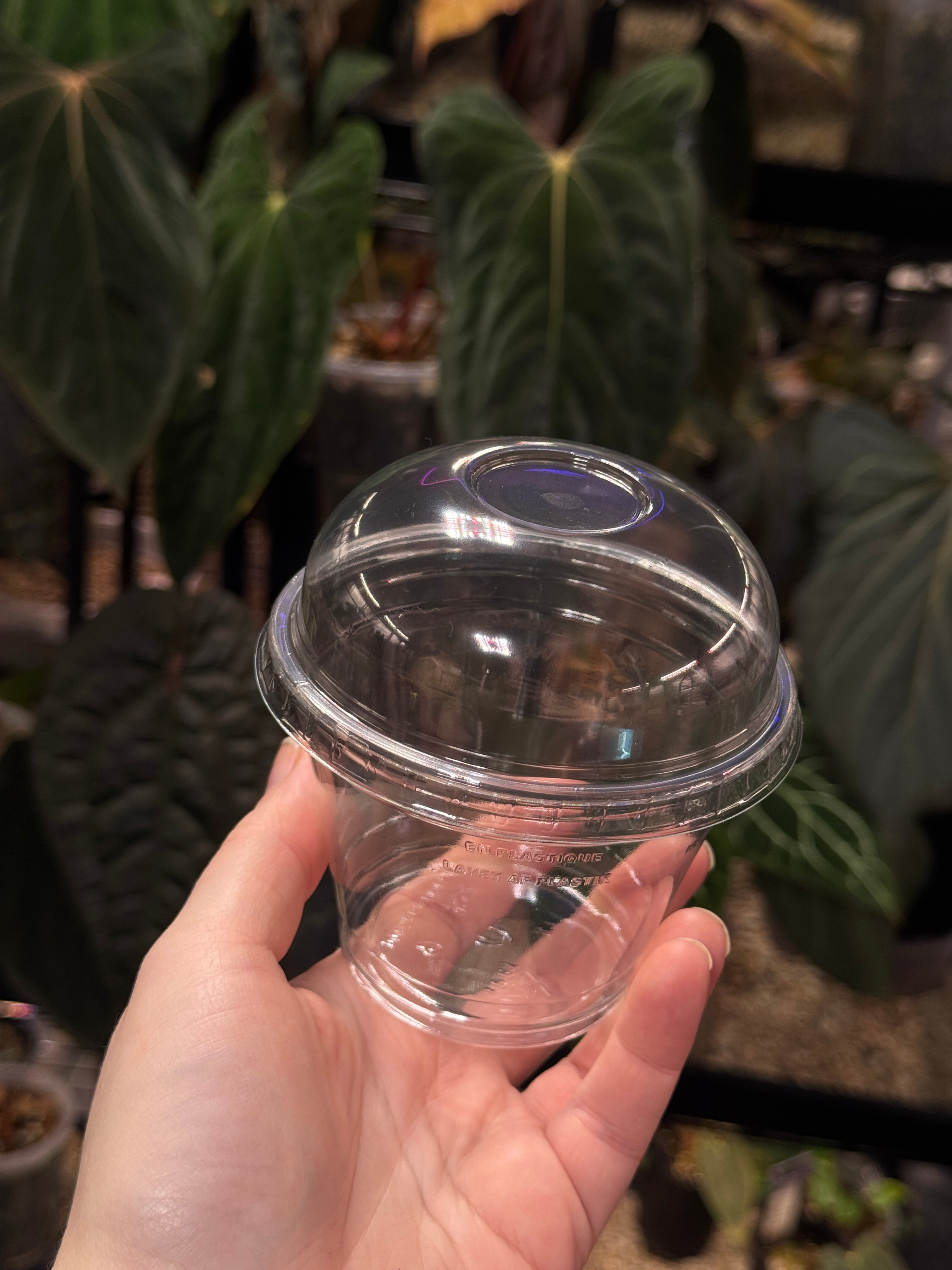 Plastic Cup With Dome Lid - 5 pcs