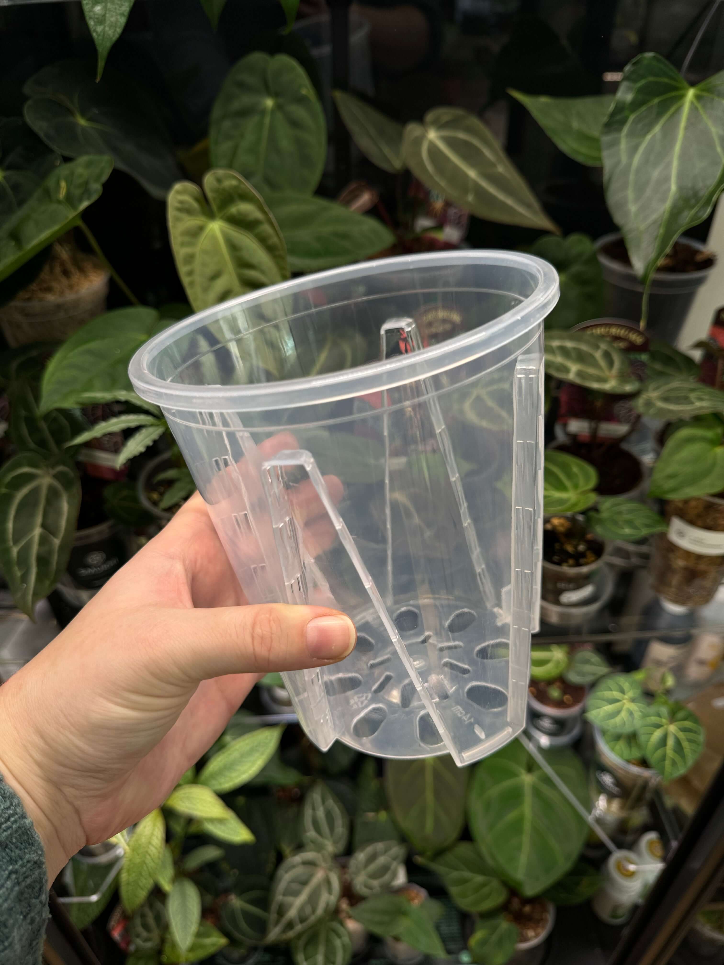 Clear Anti-Spiral Plastic Pots