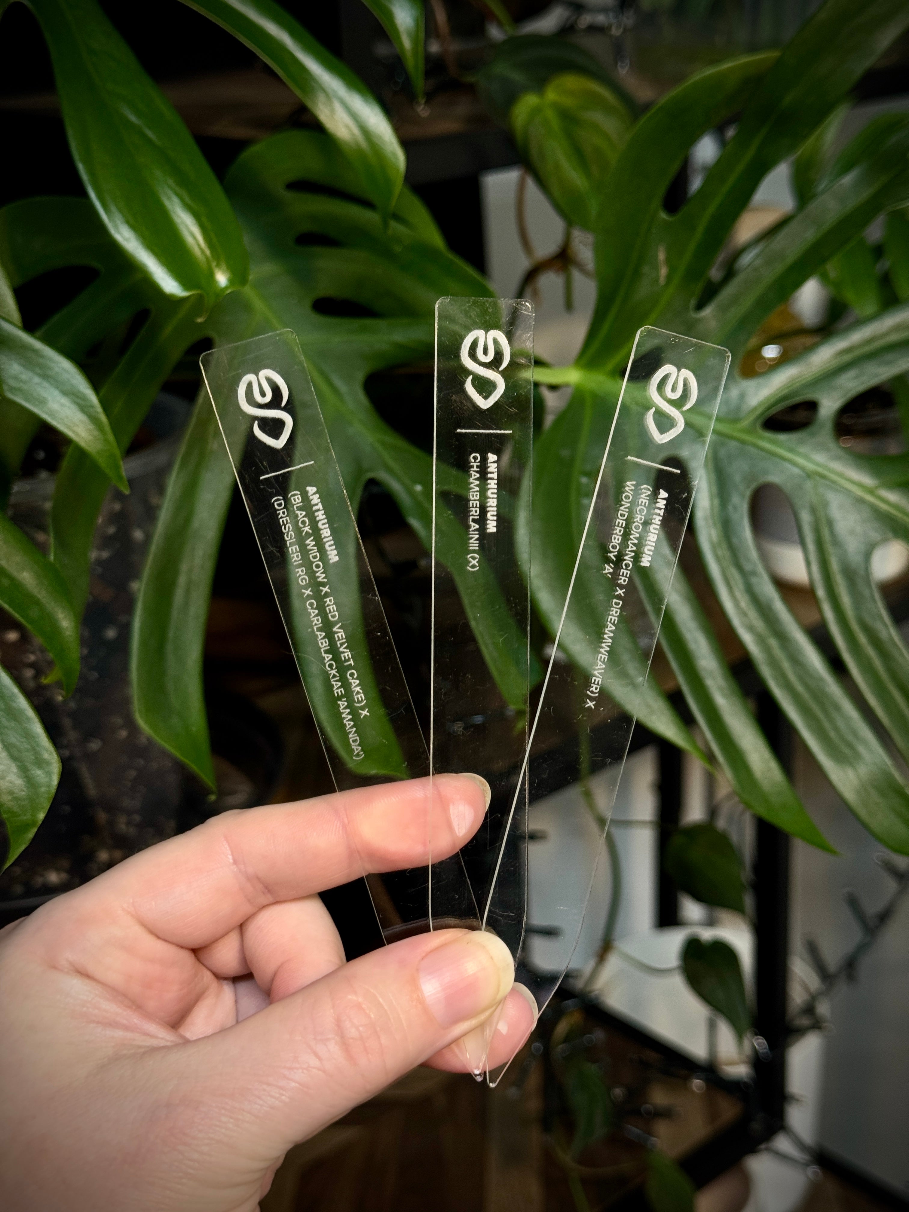 SMUKHI Engraved Plant Tag - Outlet Stock