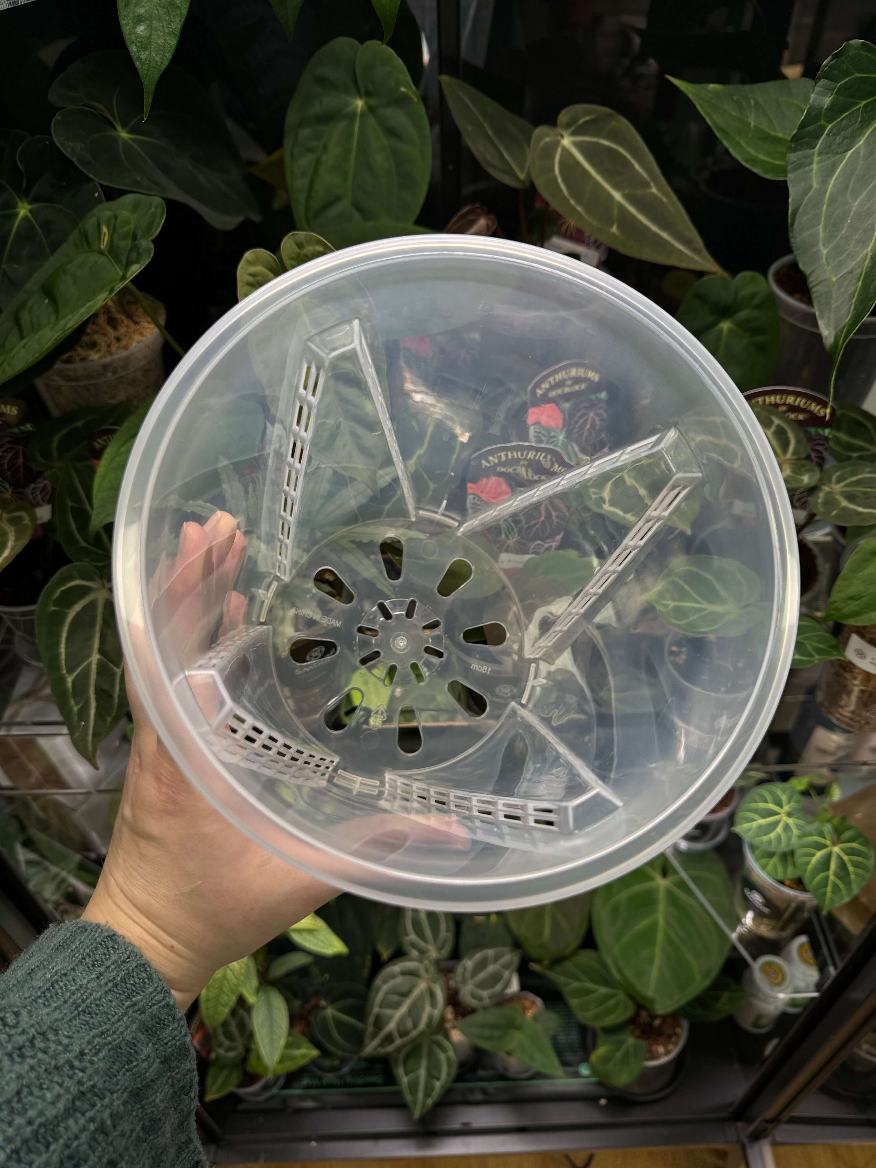 Clear Anti-Spiral Plastic Pots