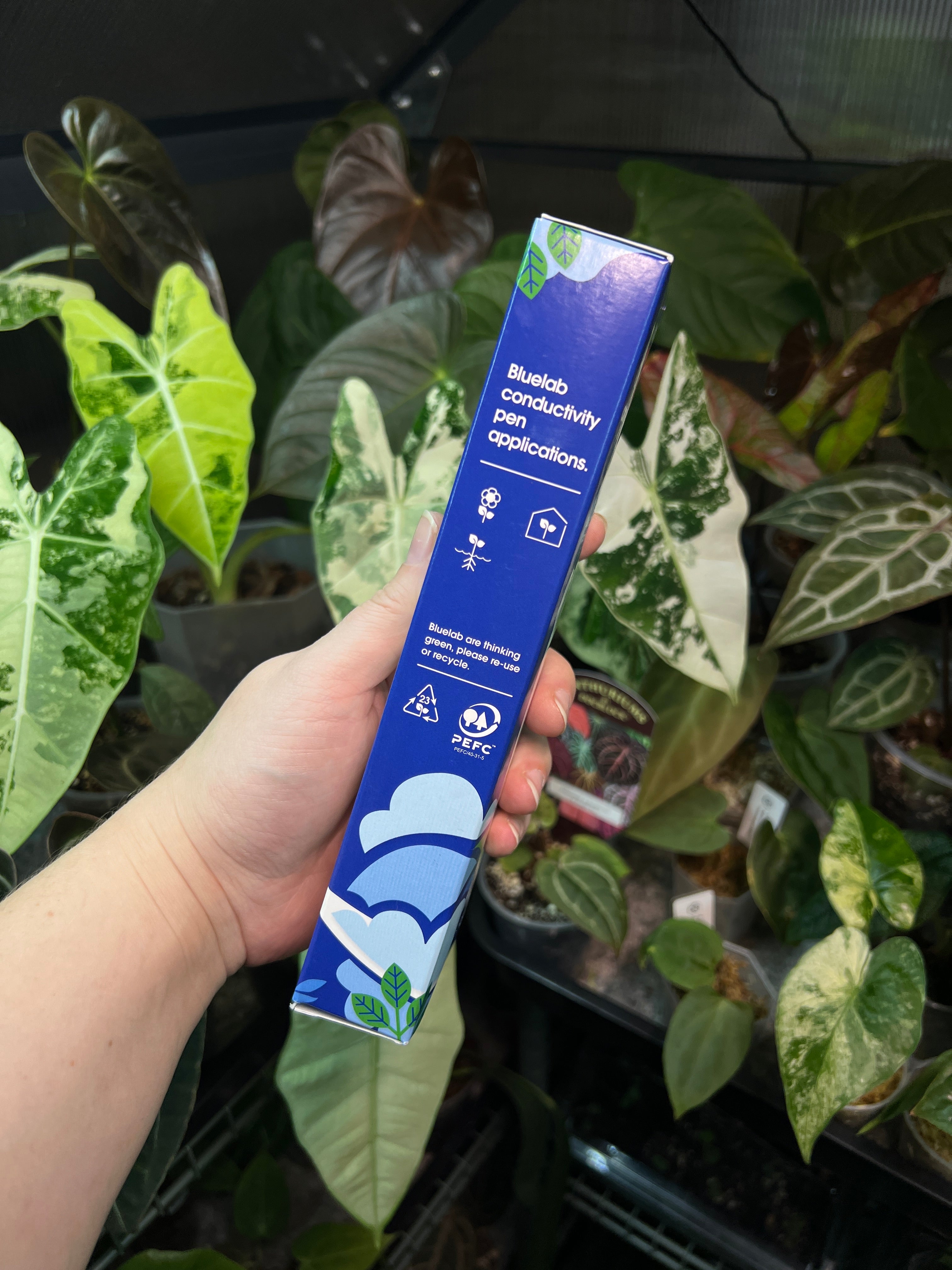 Plagron Hydro A+B