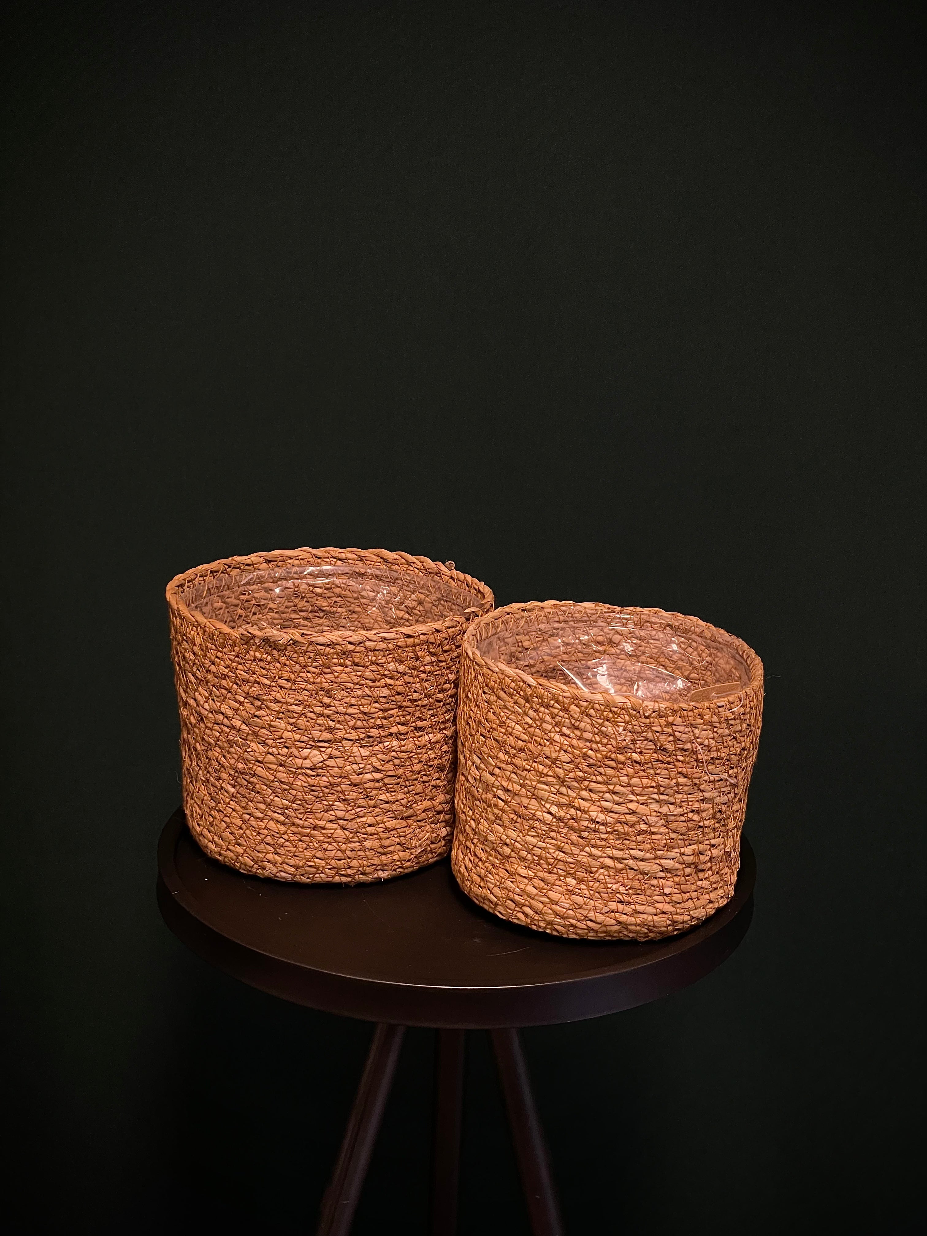 Dove Natural Planter - SMUKHI