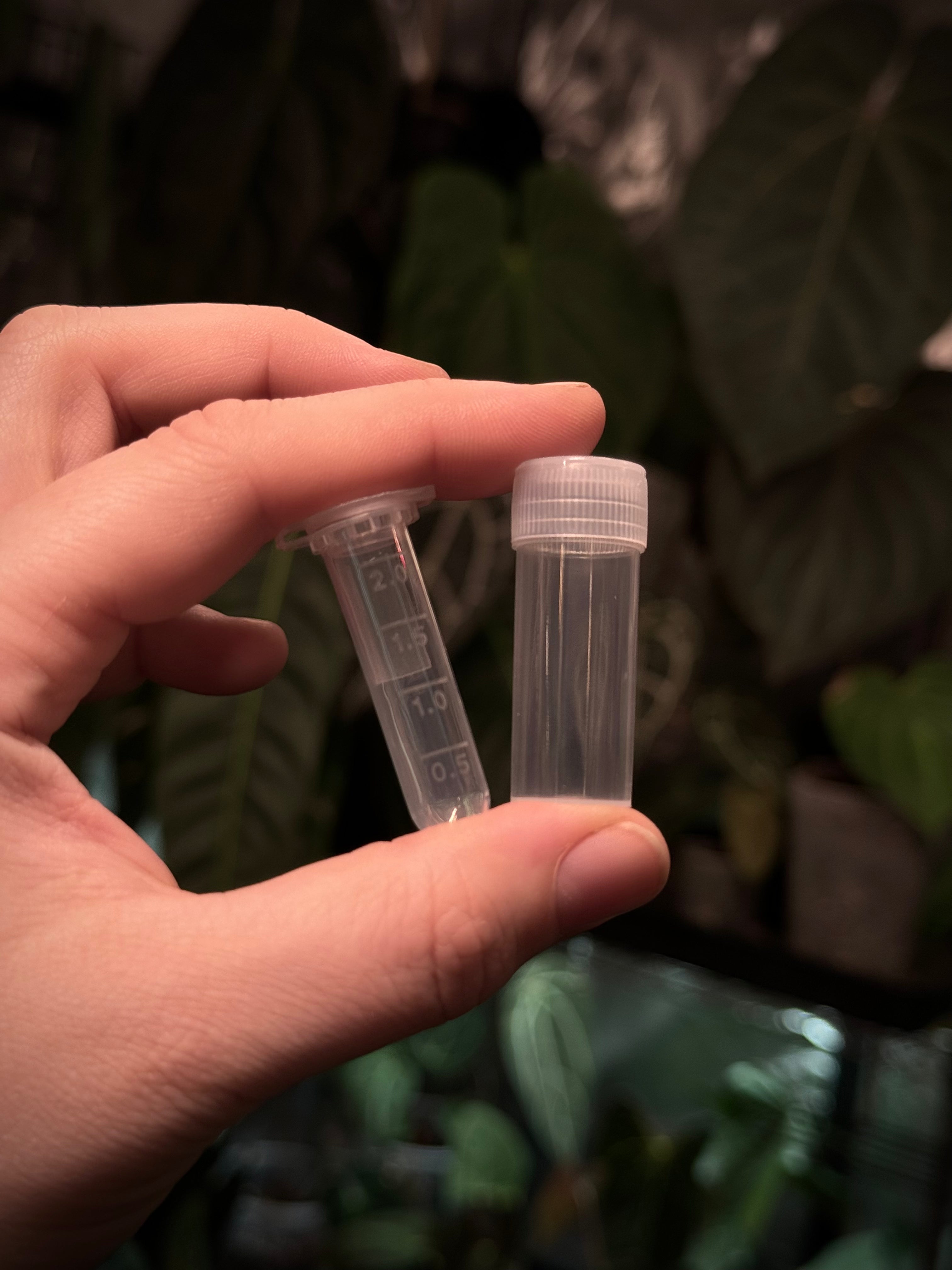 Pollen & Seed Storage Tubes (10 pcs) - SMUKHI