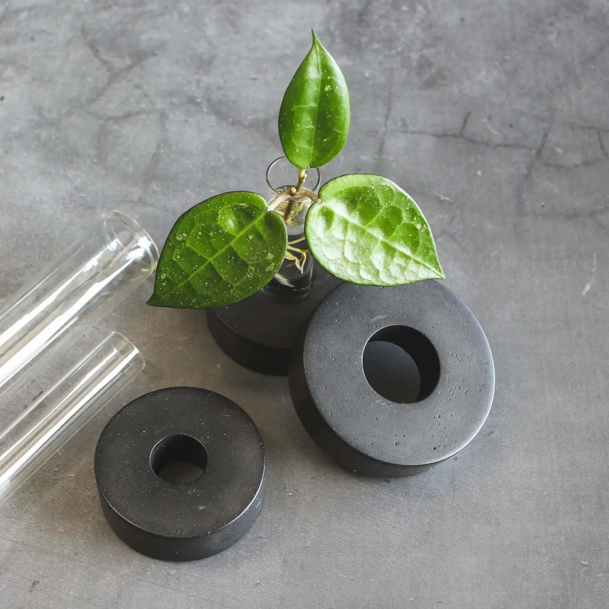Glass Tube Stand "Donut" - Multiple Designs and Sizes - SMUKHI