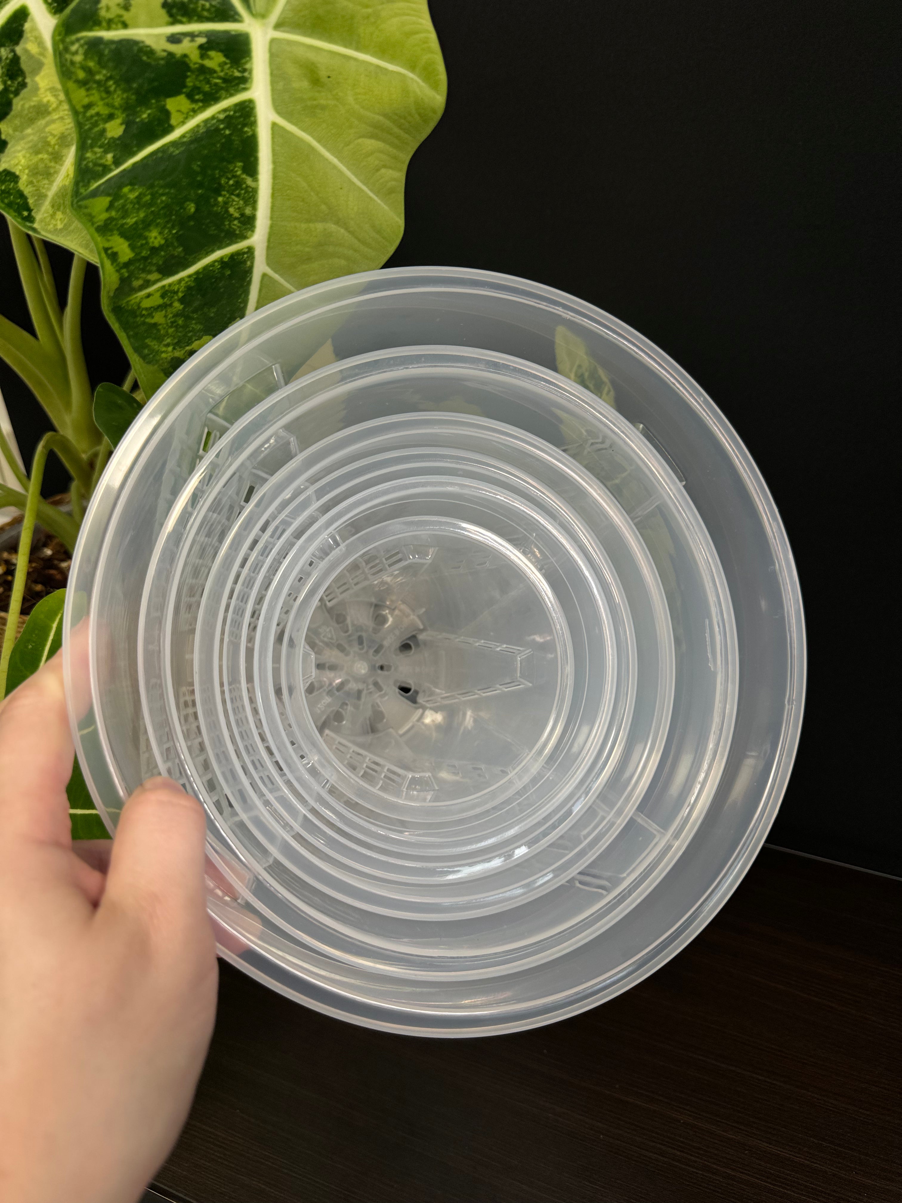 Clear Anti-Spiral Plastic Pots
