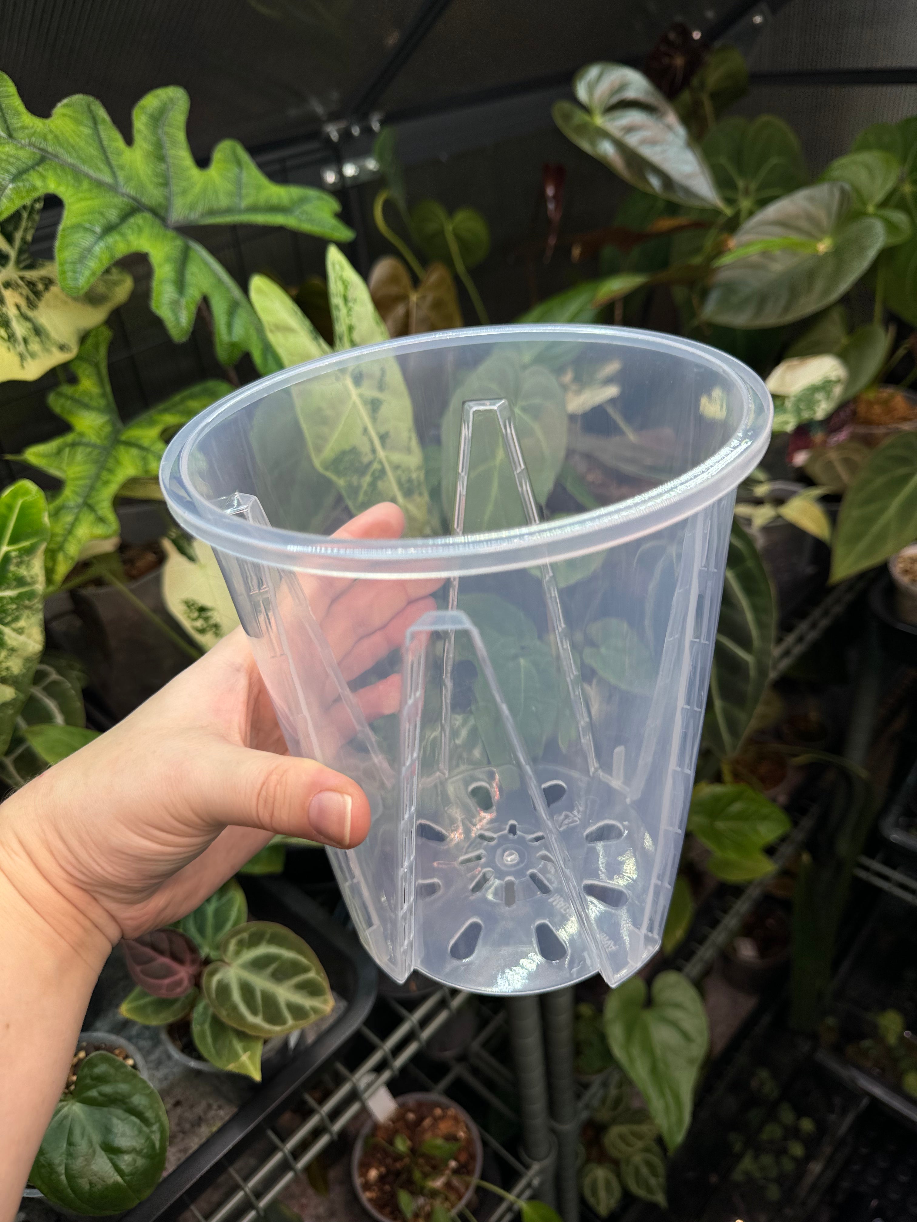 Clear Anti-Spiral Plastic Pots
