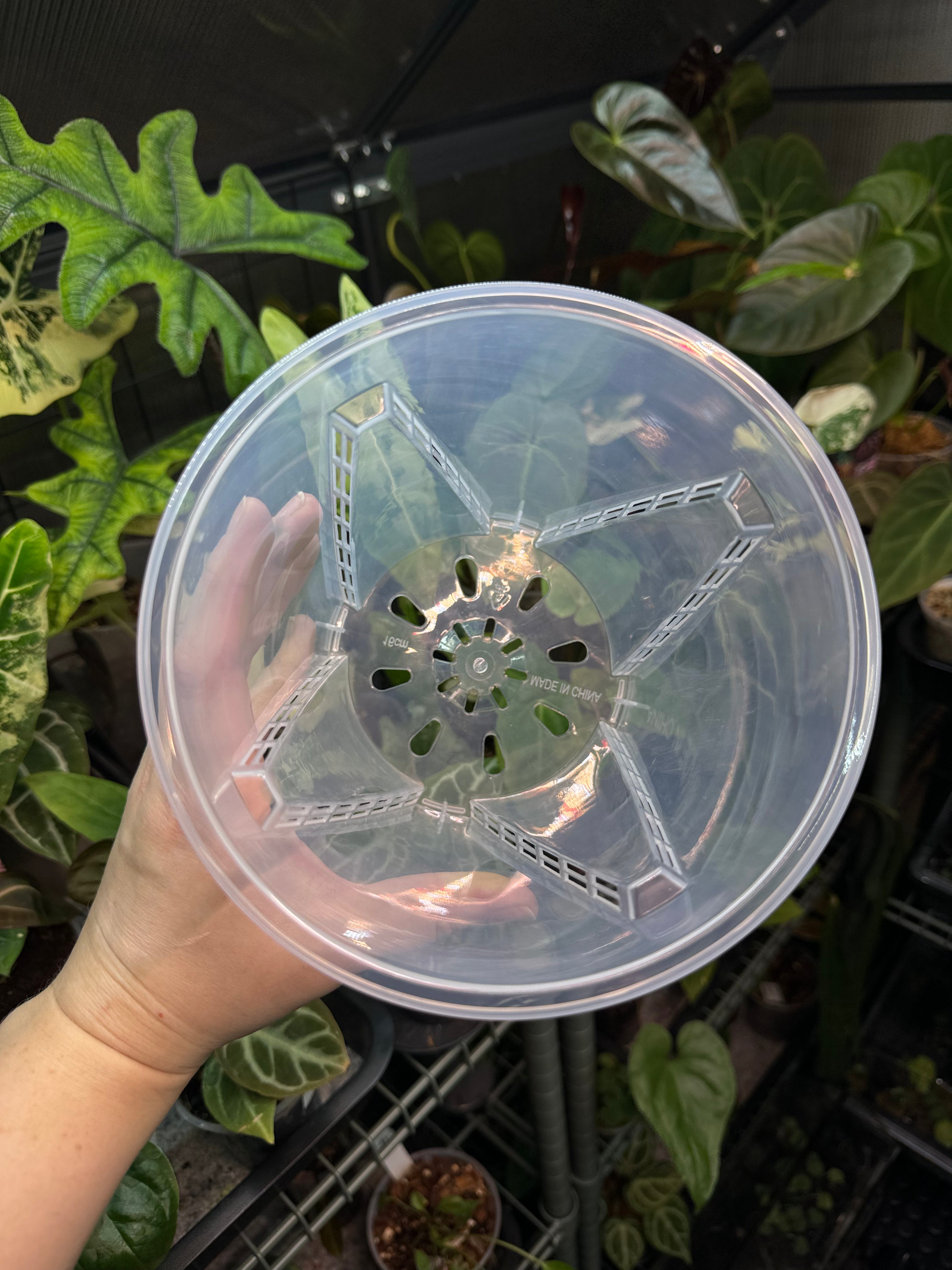 Clear Anti-Spiral Plastic Pots