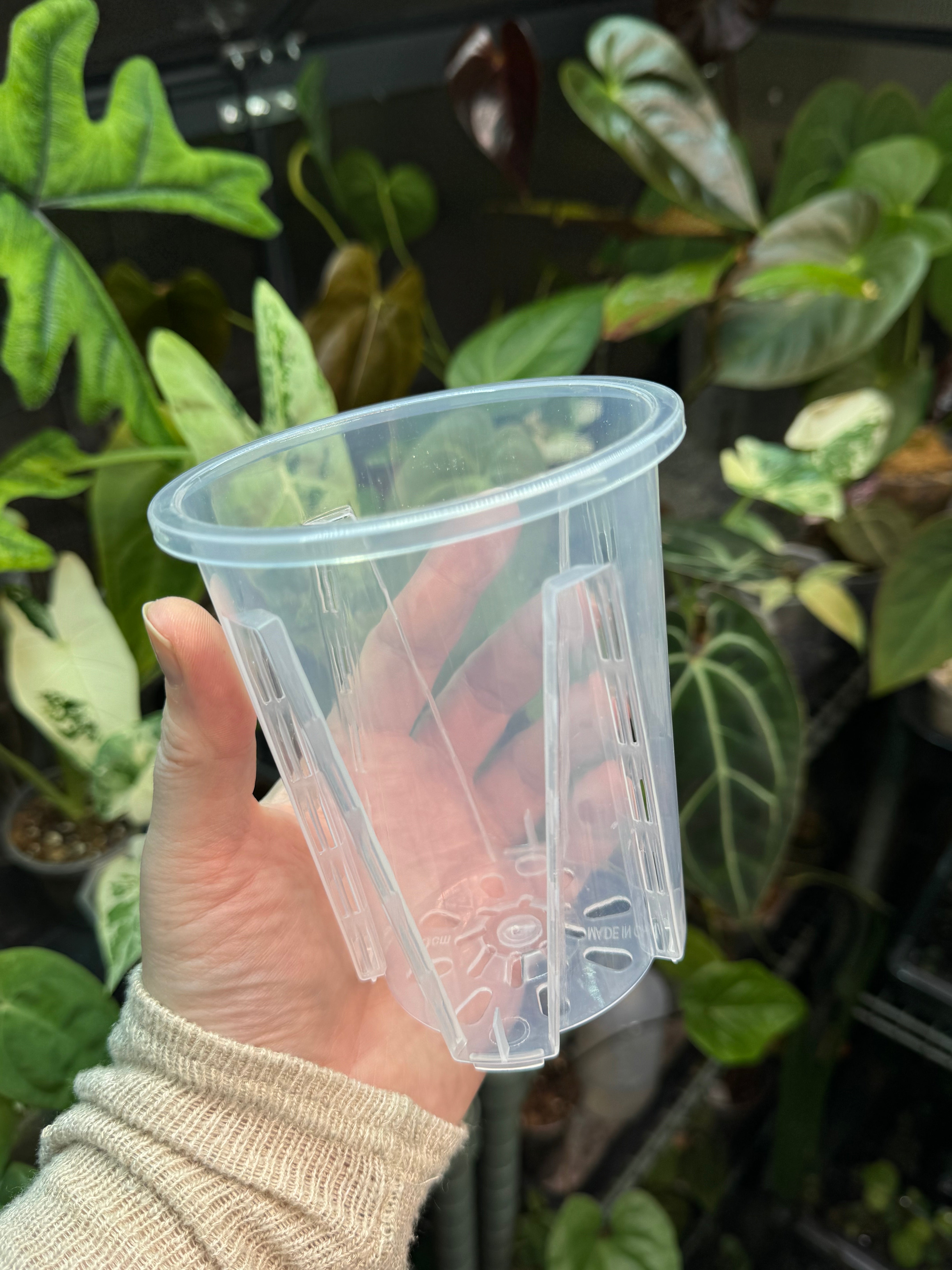 Clear Anti-Spiral Plastic Pots