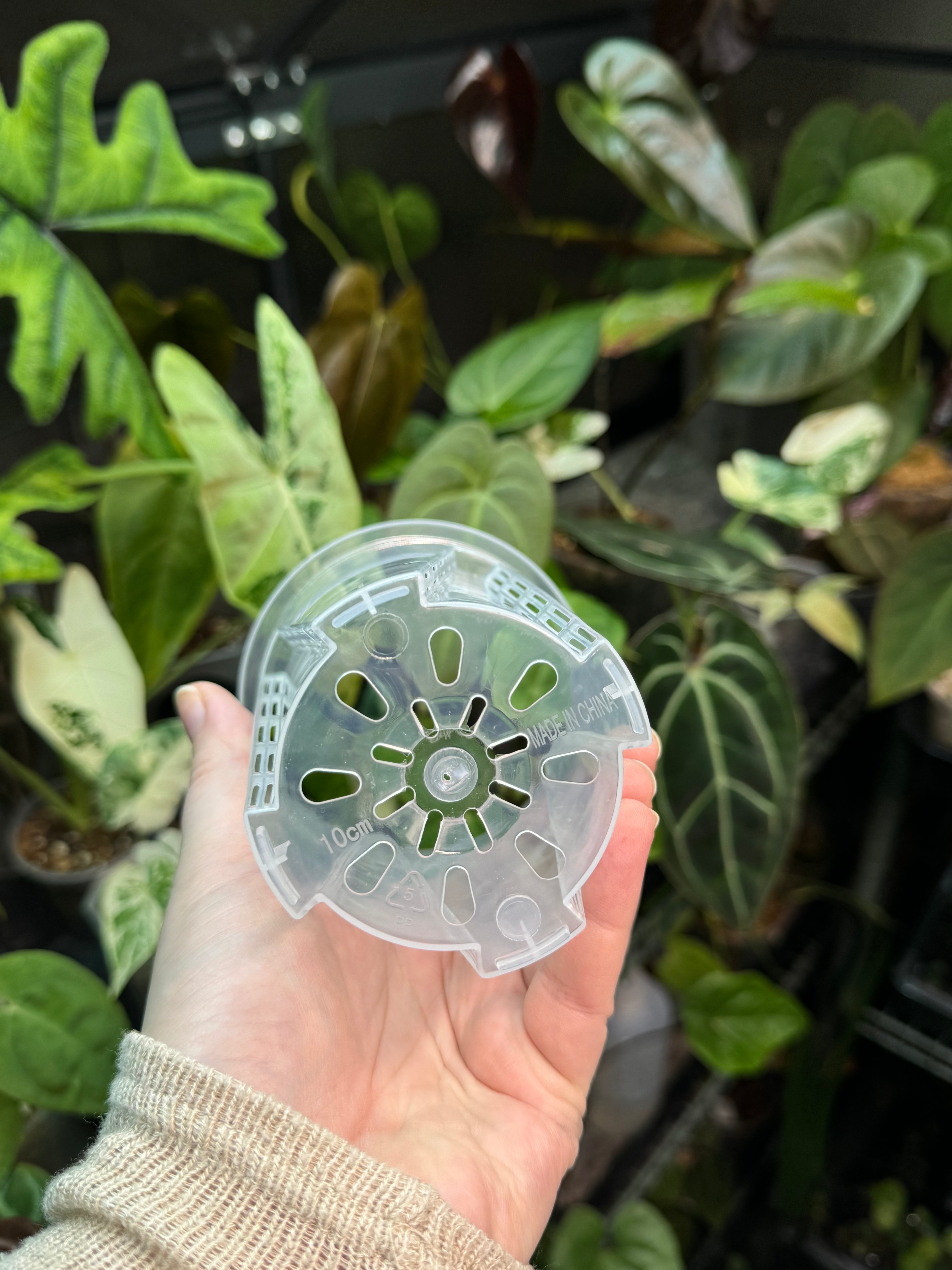 Clear Anti-Spiral Plastic Pots