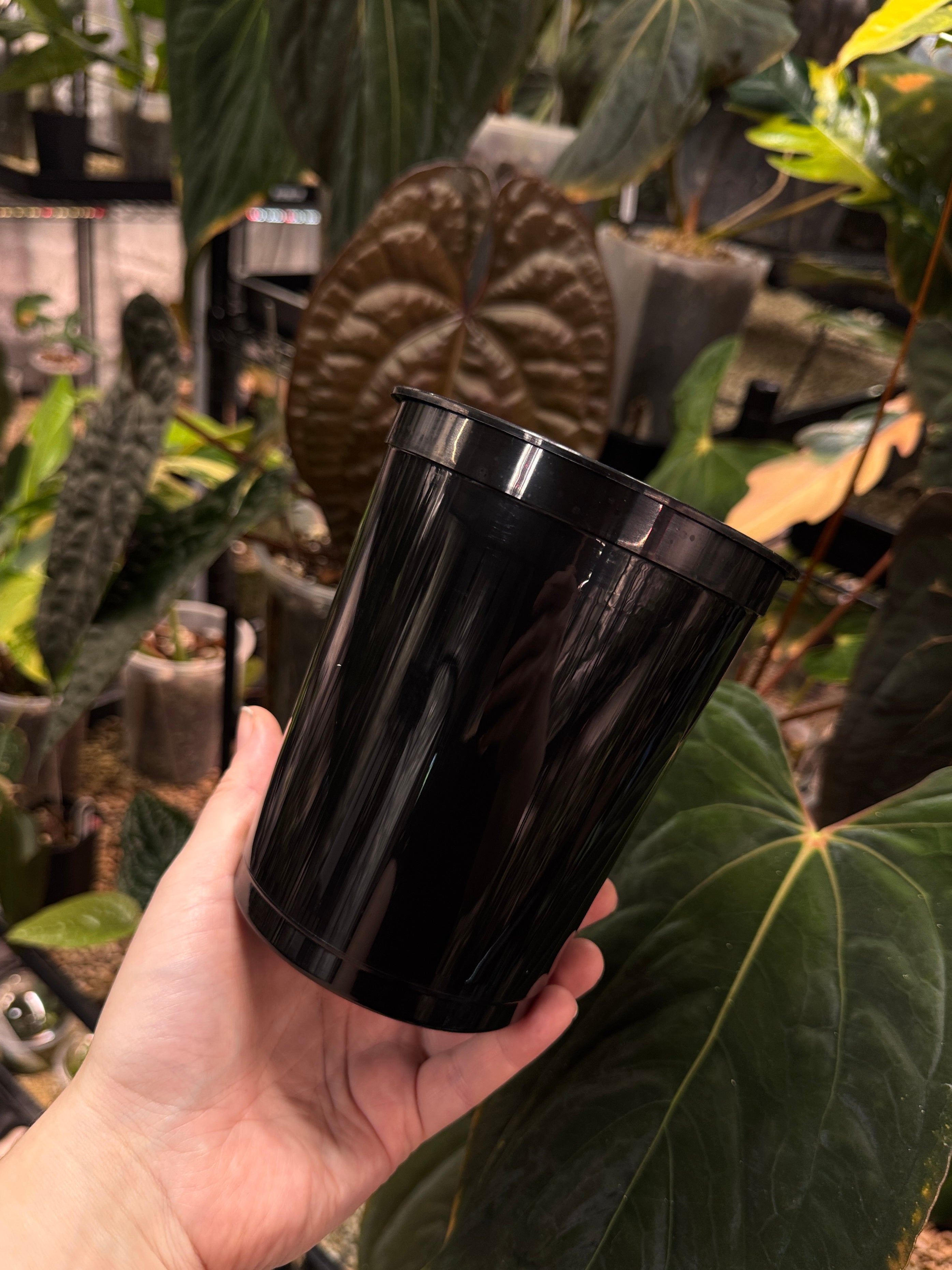 Set of five SMUKHI plastic pots, lightweight and durable, suitable for plants or storage, shown in the image.