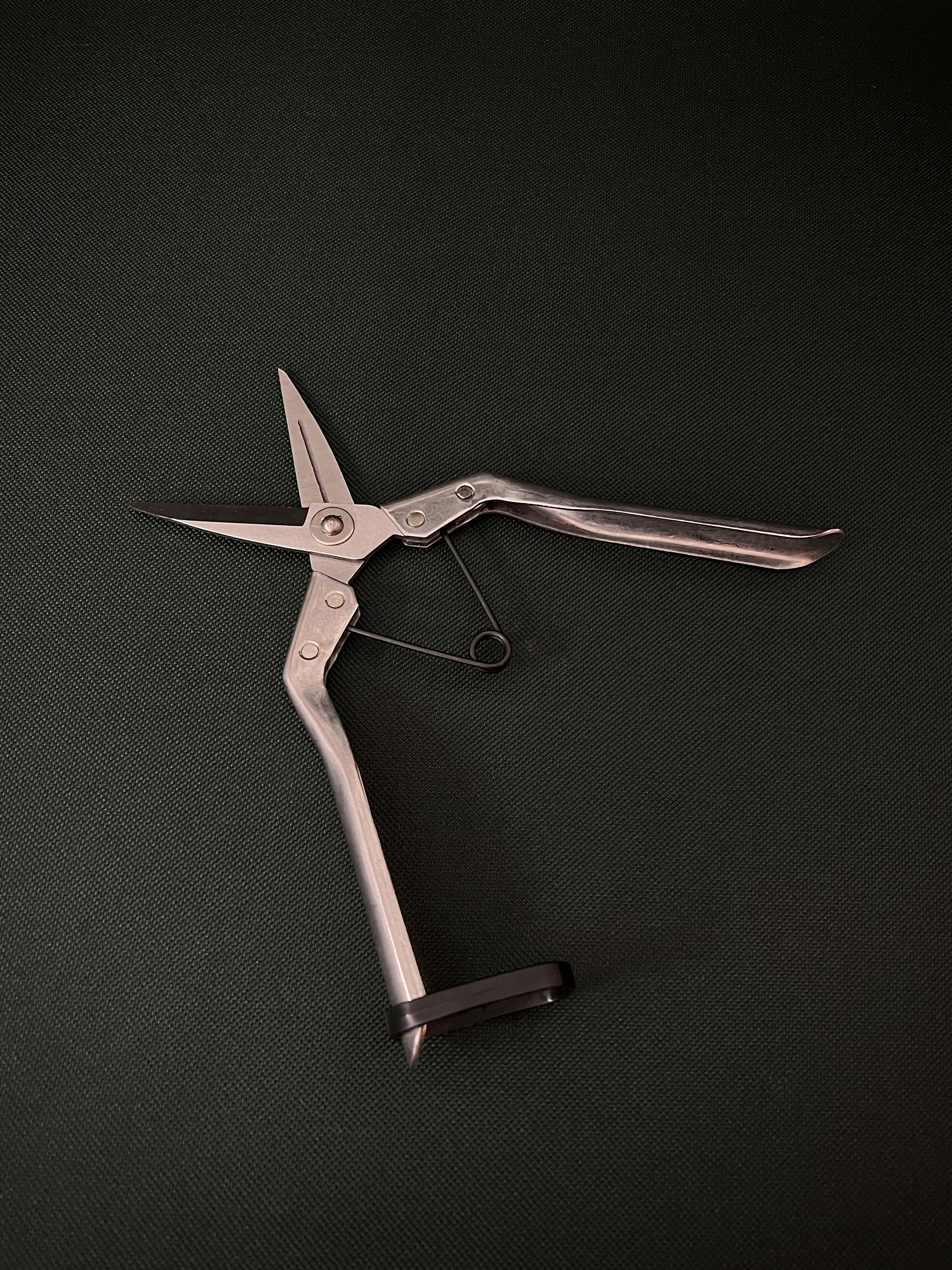 Pruning Scissors - Stainless Steel - SMUKHI