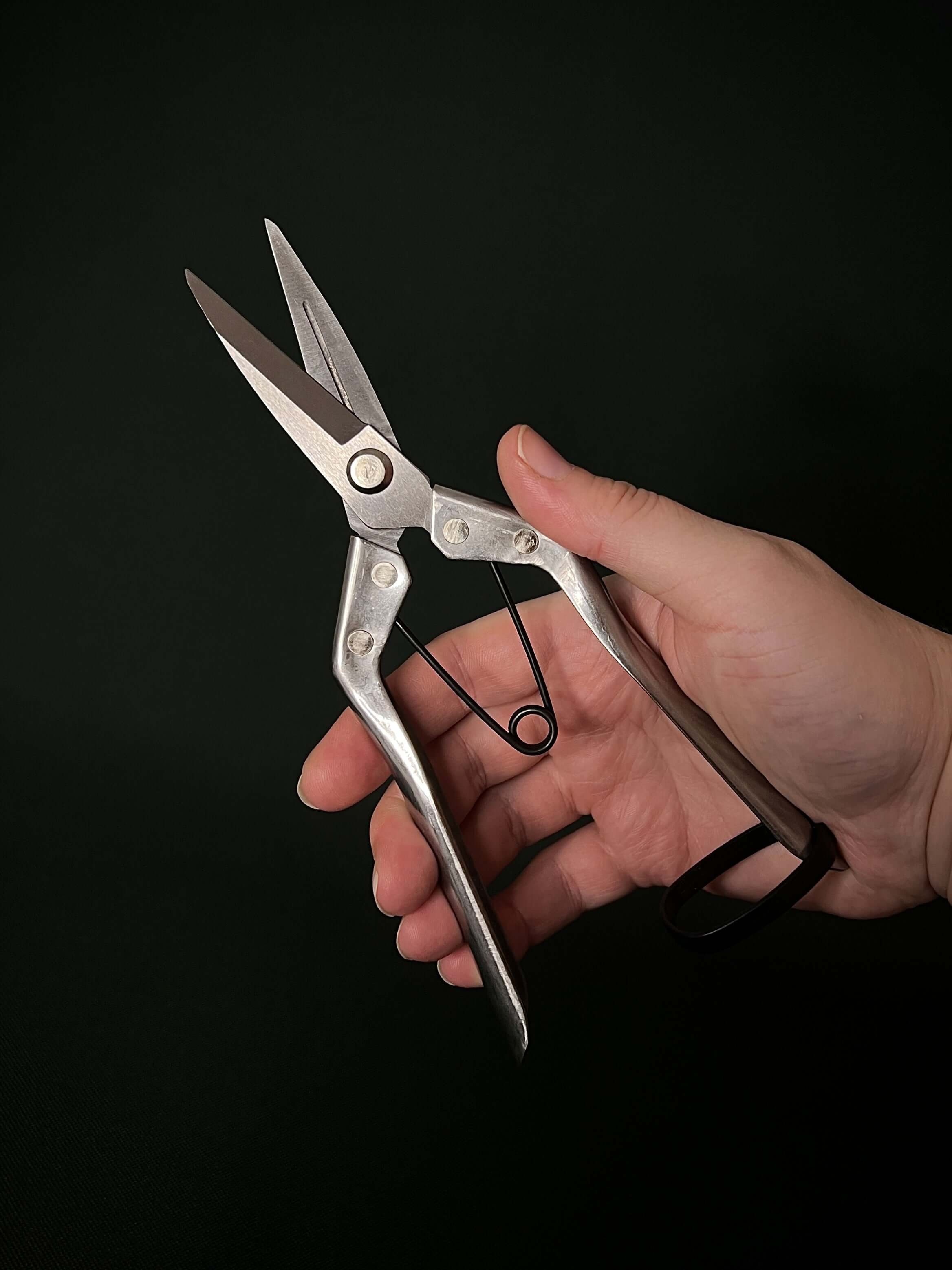 Pruning Scissors - Stainless Steel - SMUKHI