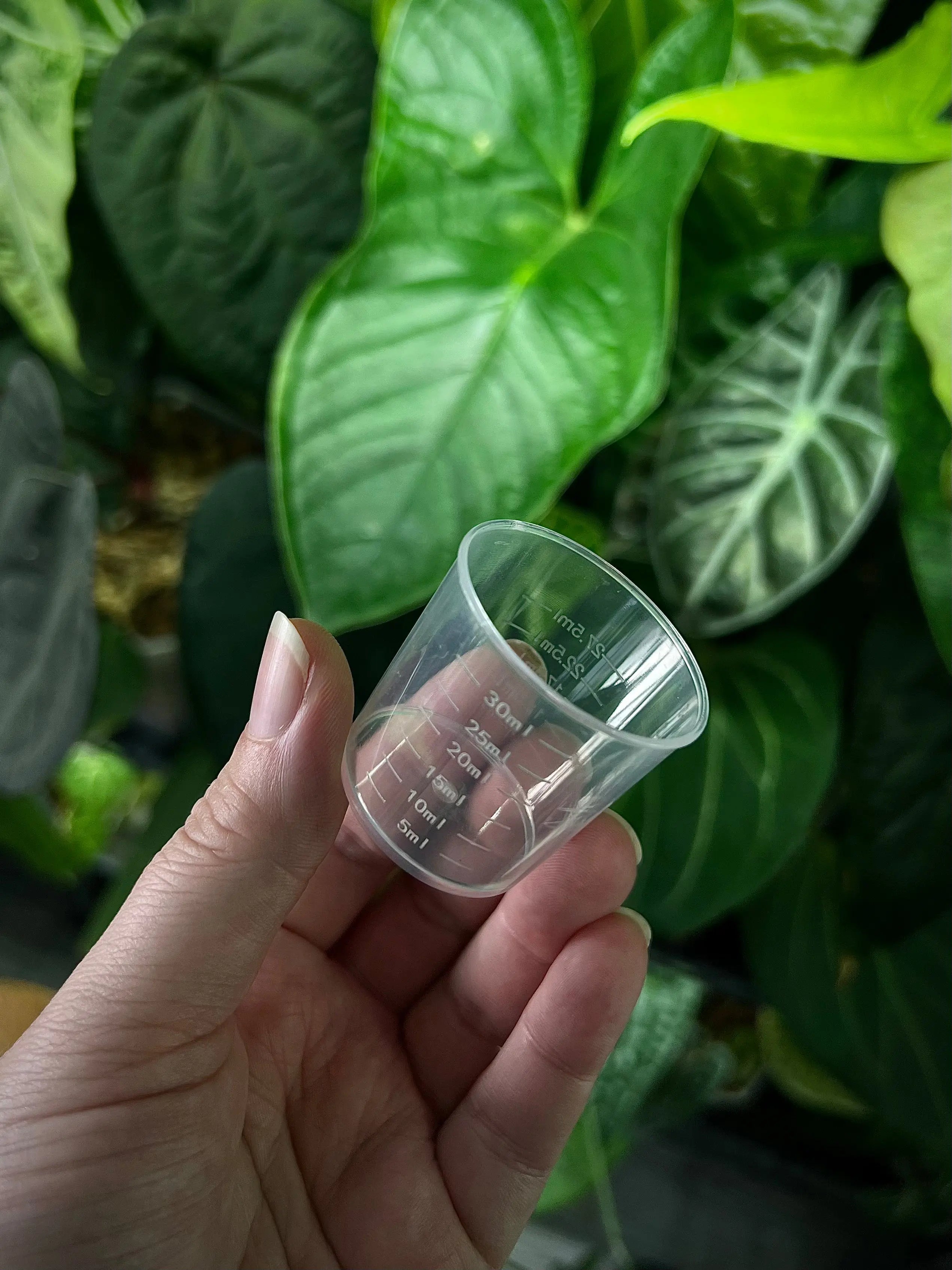 Measuring Cup - 30 ml - SMUKHI