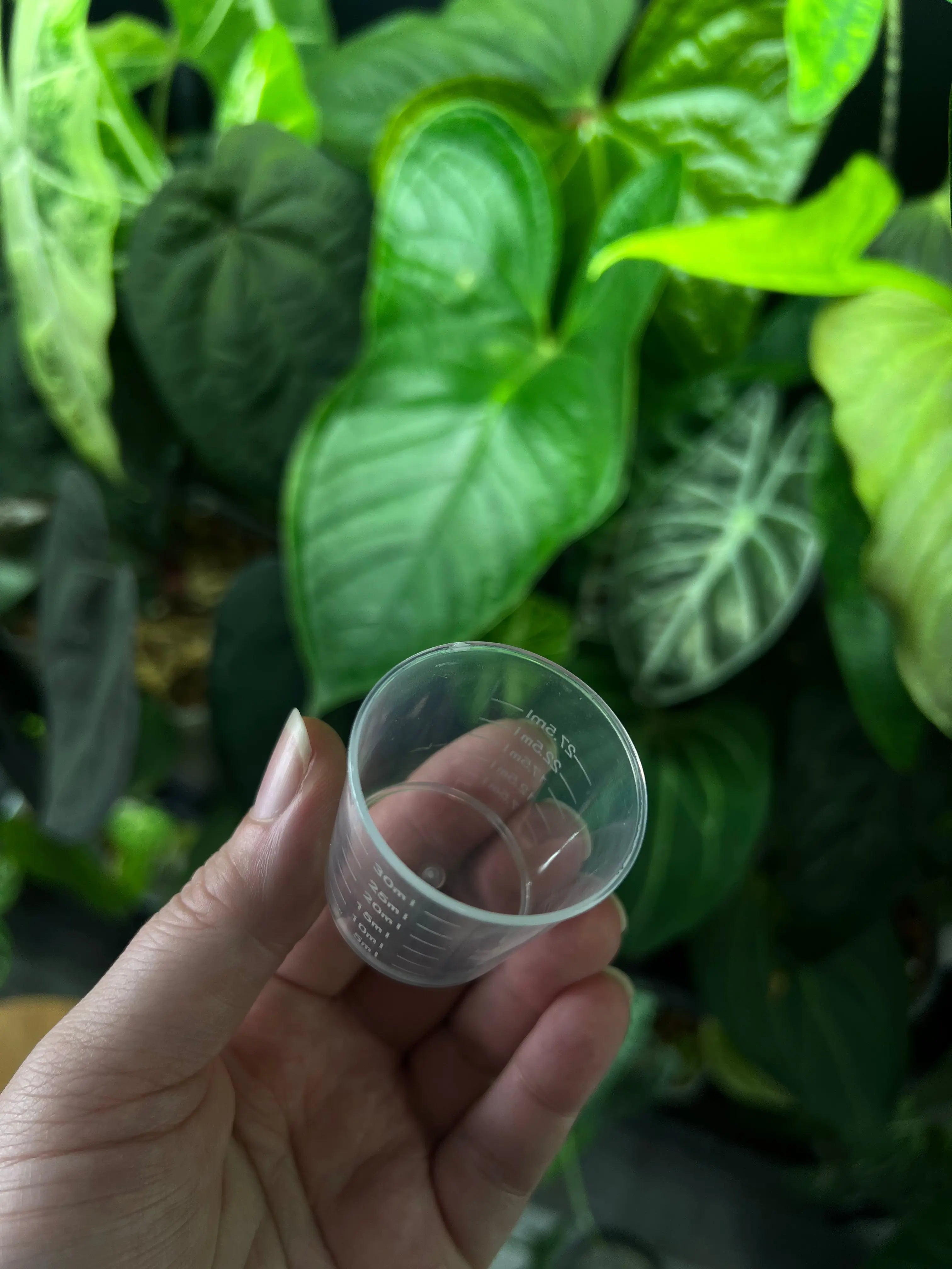 Measuring Cup - 30 ml - SMUKHI