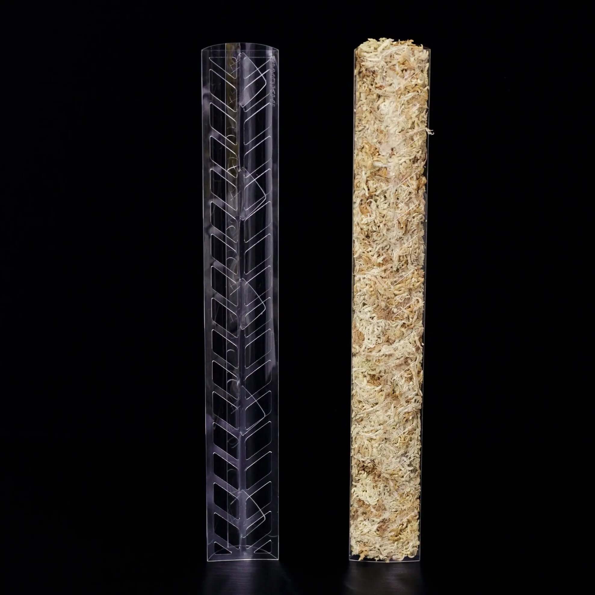Mini Moss Pole "Pine" - Clear Plastic - SMUKHI