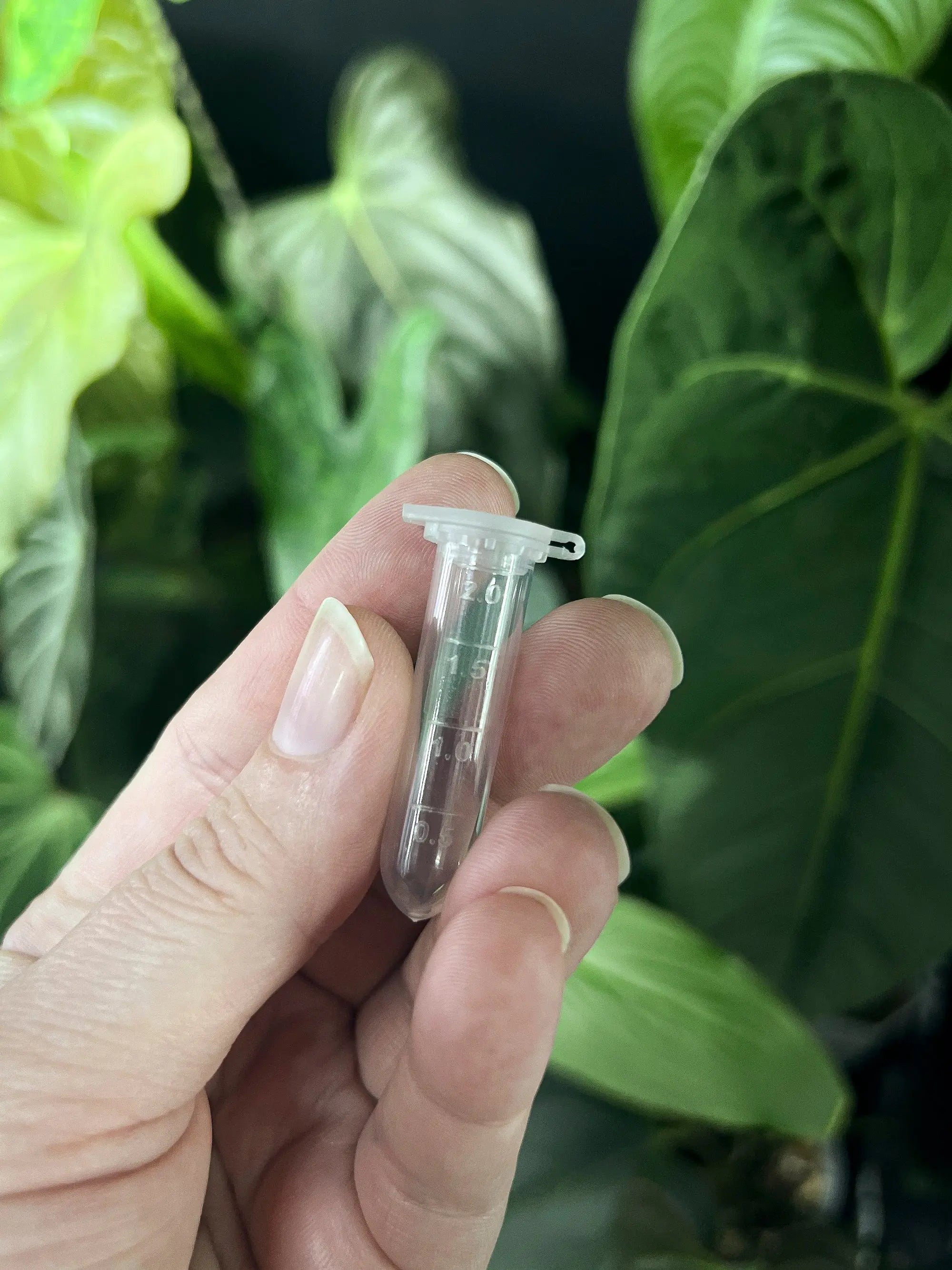 Mini Pollen Storage Tube - SMUKHI