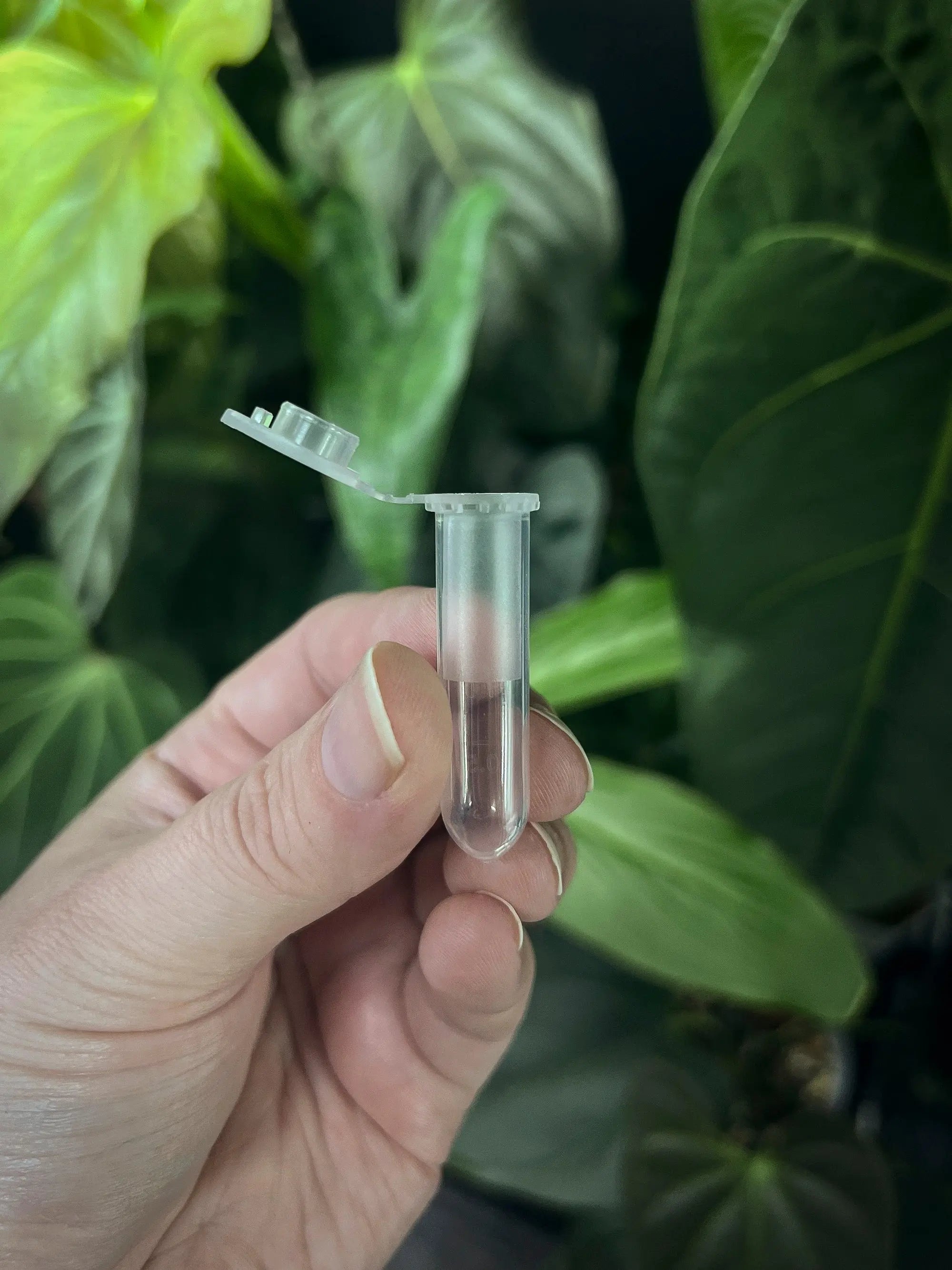 Mini Pollen Storage Tube - SMUKHI