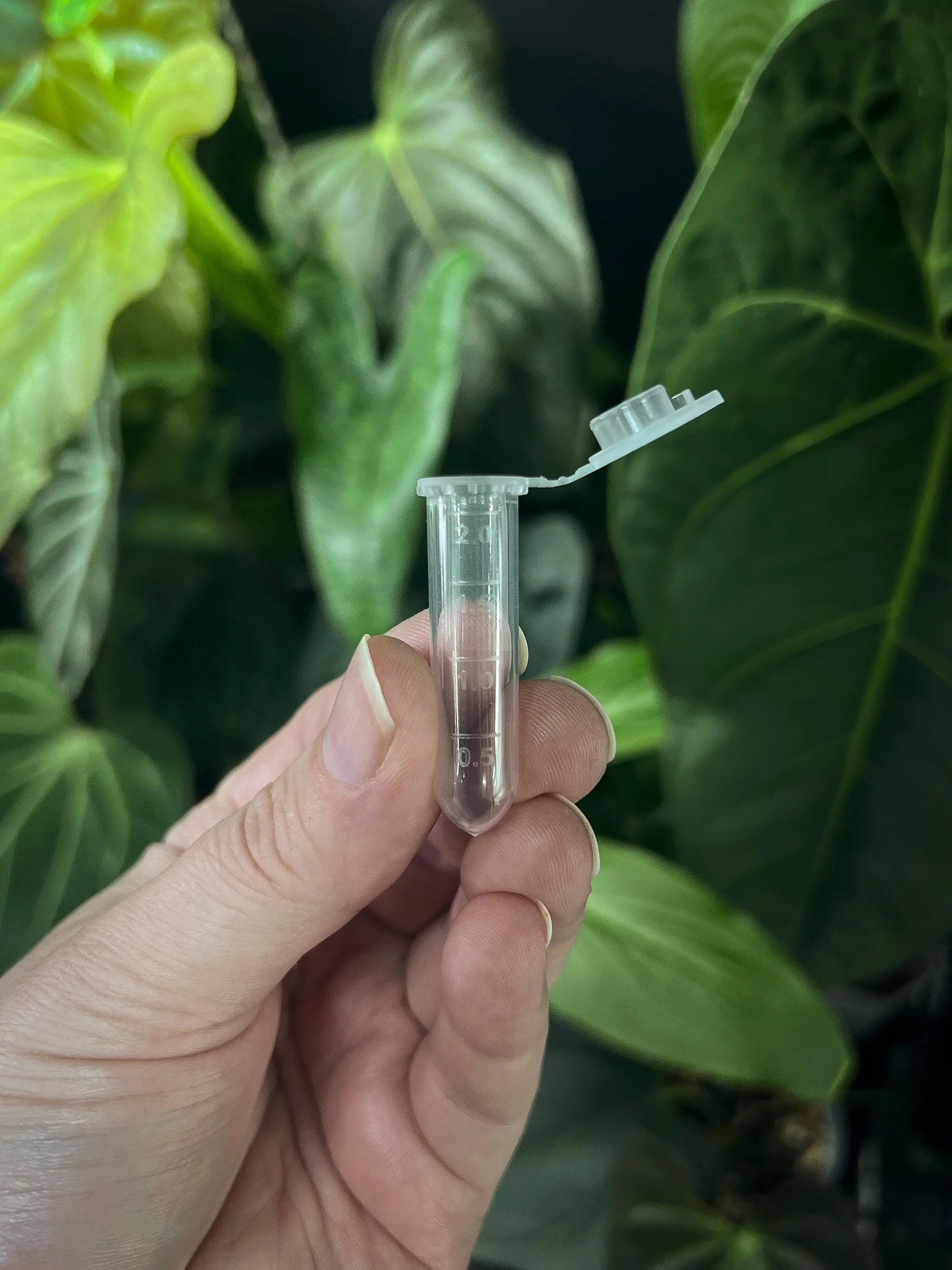 Mini Pollen Storage Tube - SMUKHI