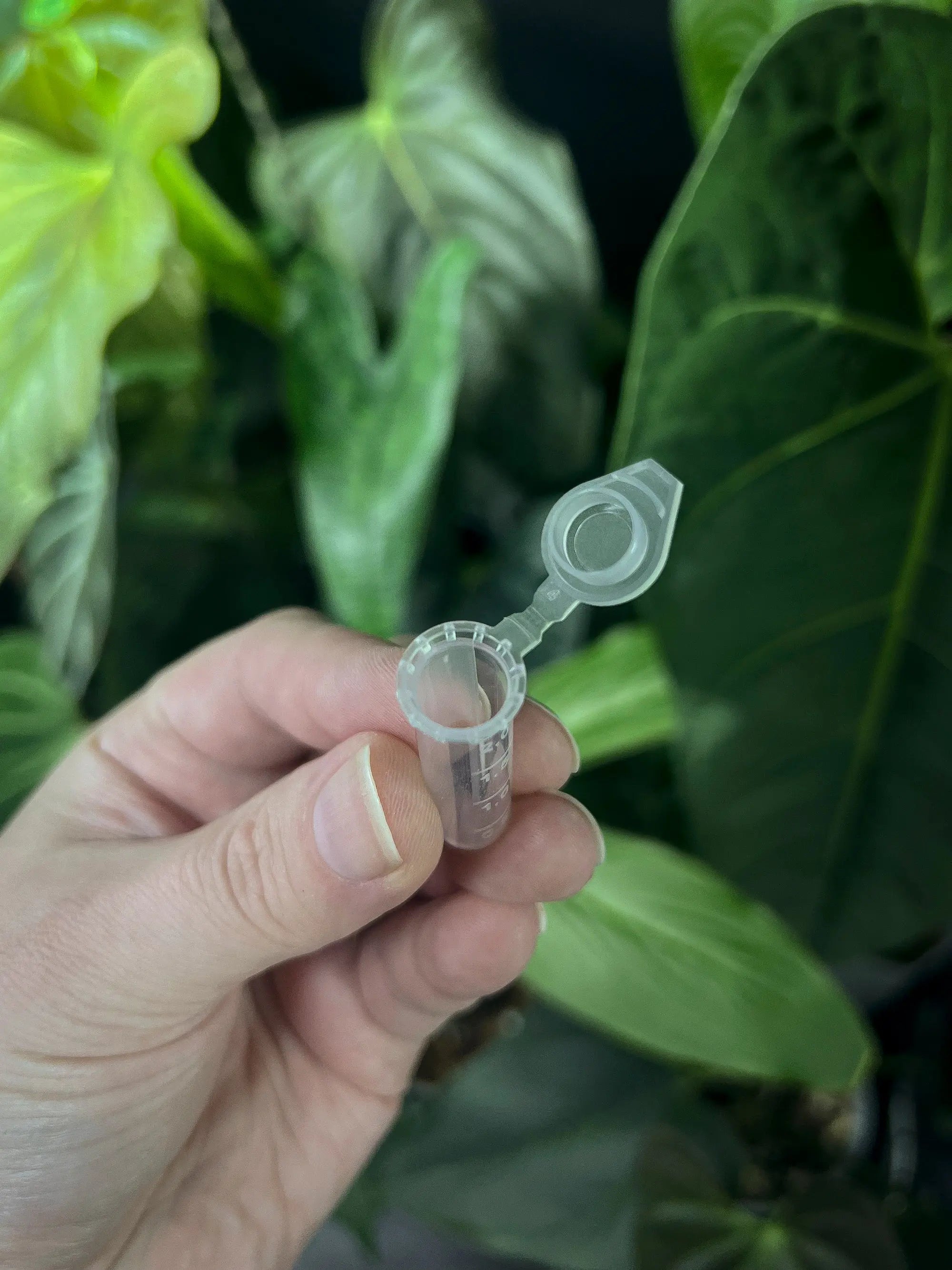 Mini Pollen Storage Tube - SMUKHI