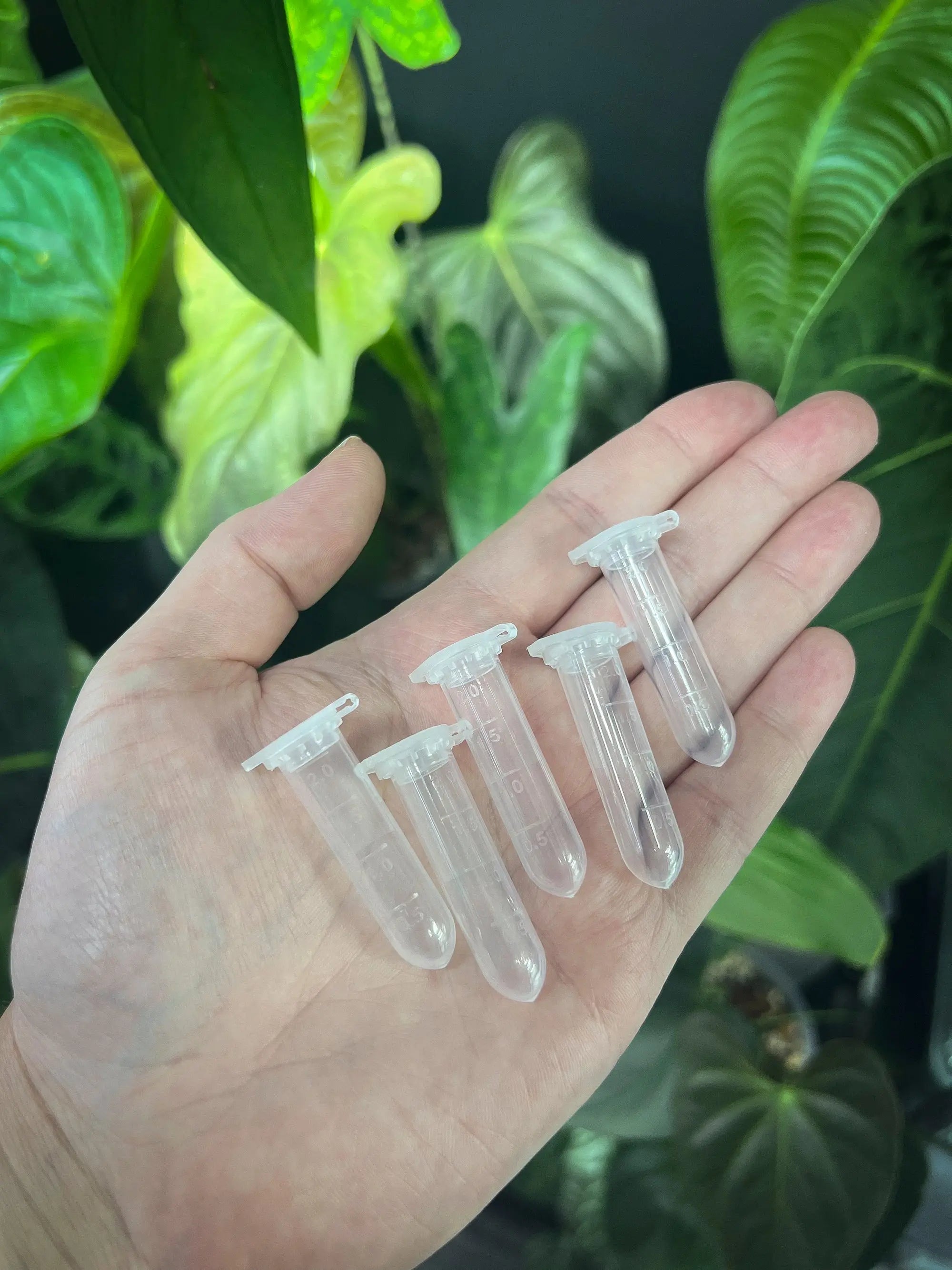 Mini Pollen Storage Tube - SMUKHI