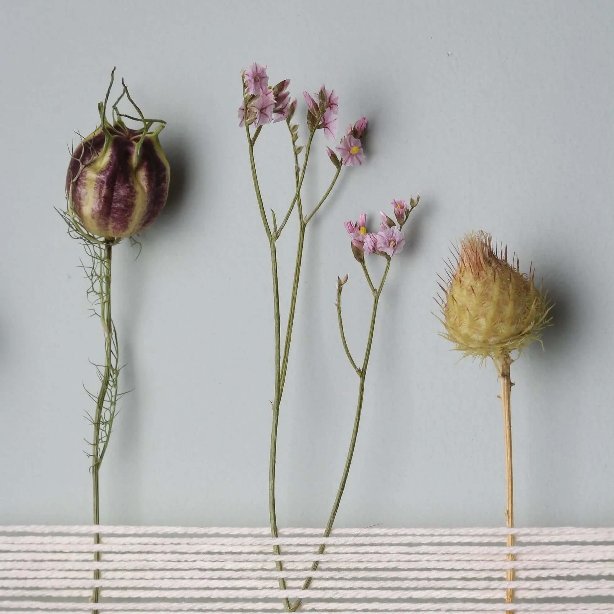Minimalist Dried Flower Wall Decor 30 cm "Blossom Elements" - Handmade - SMUKHI