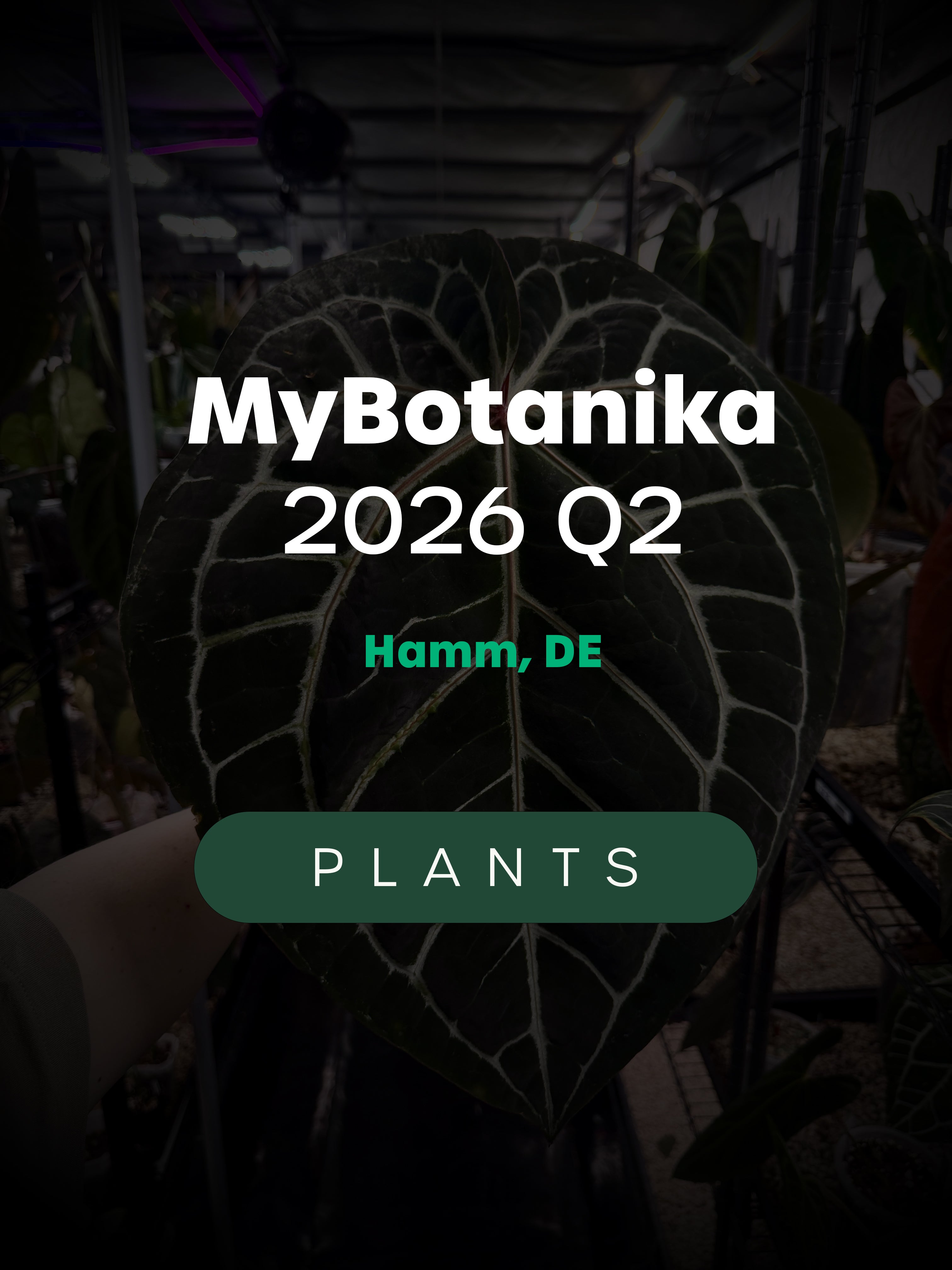 MyBotanika Hamm - Plants