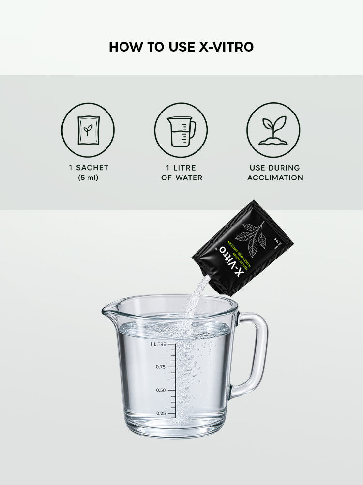 X-Vitro - Tissue Culture Acclimation Solution