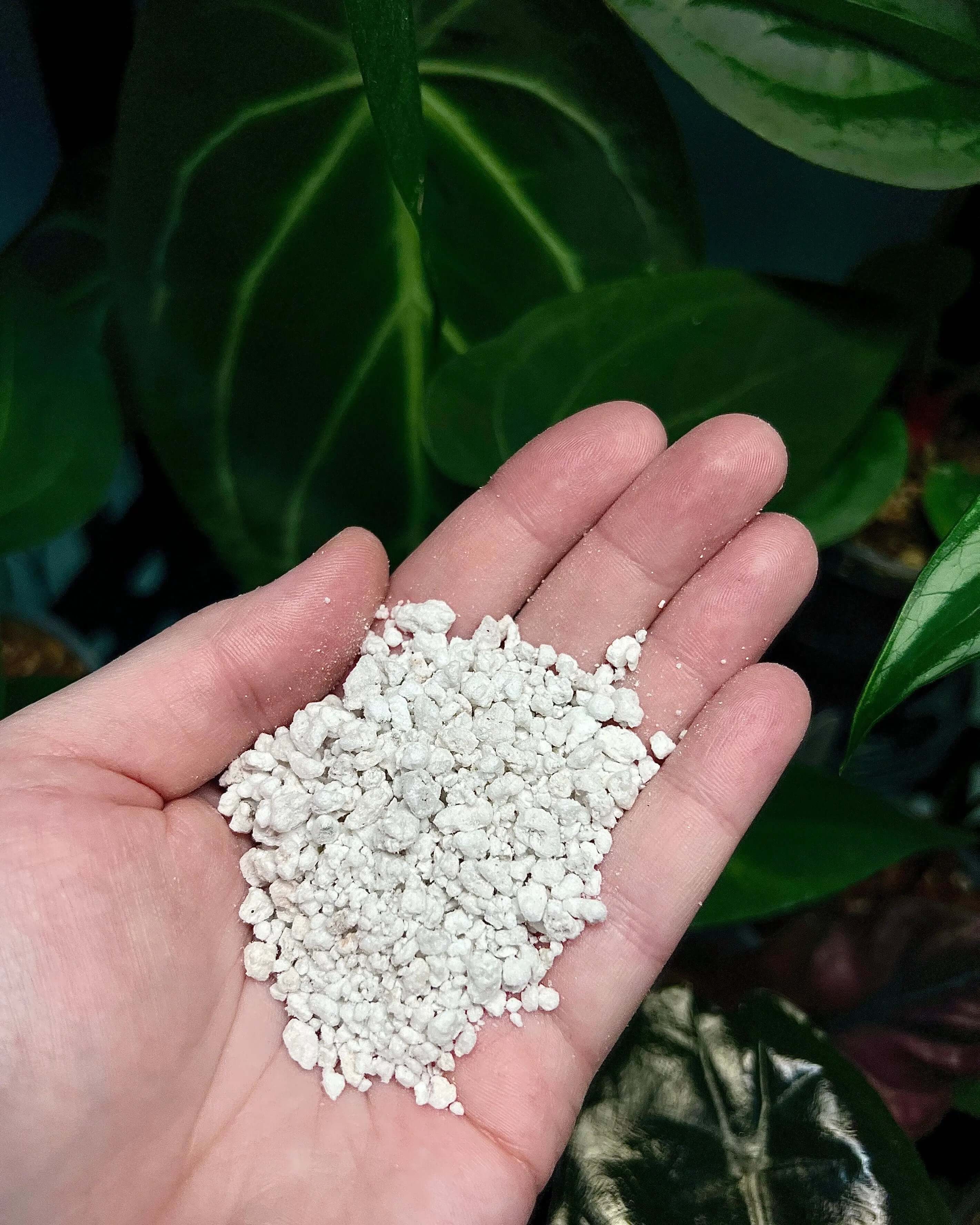 Perlite granules - 3 liters - SMUKHI
