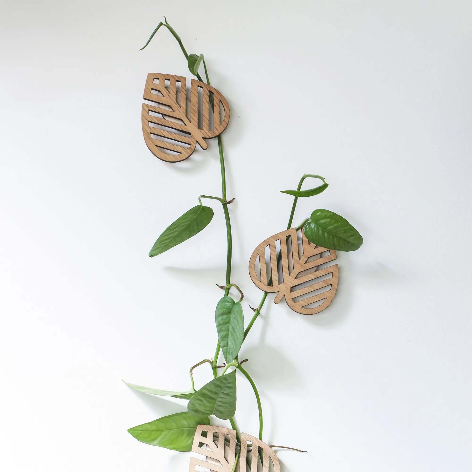 Plant Climbing Wall Supports "Climbing Leaves" - Set of 3 - SMUKHI