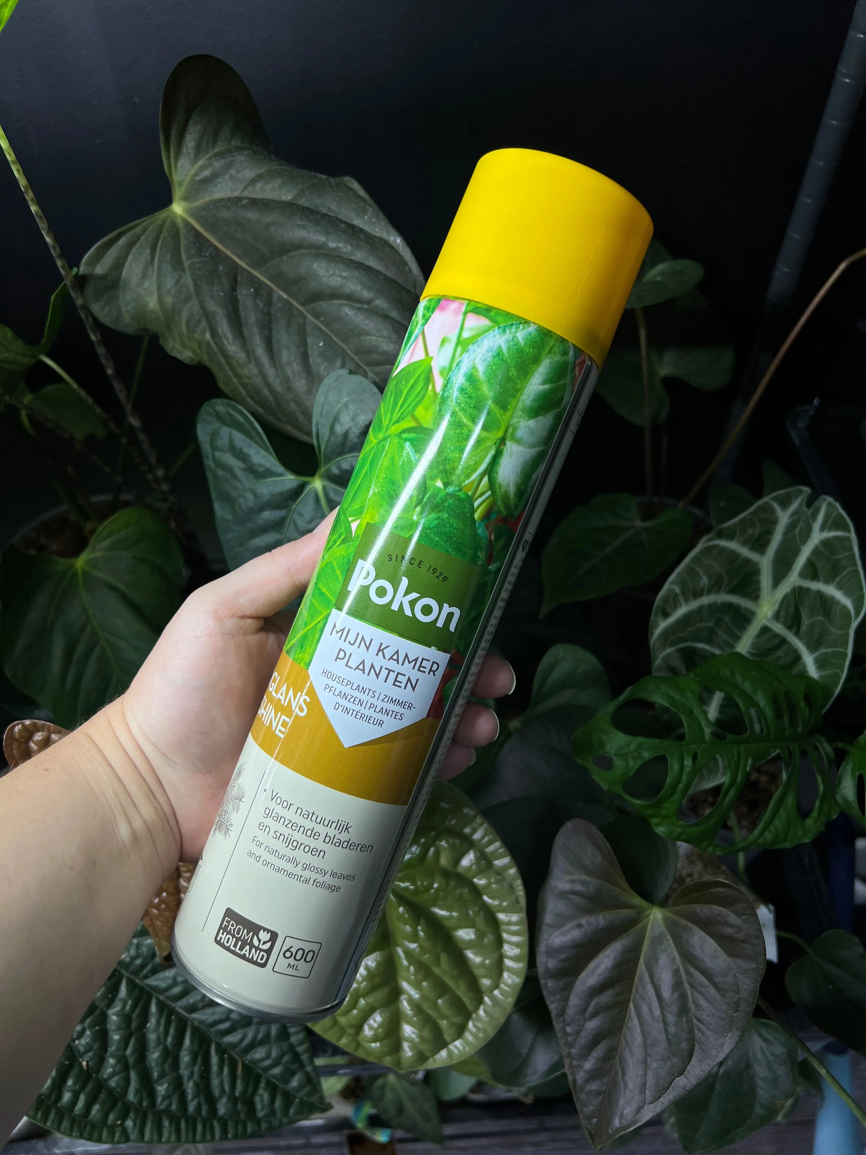 Pokon Leaf Shine - 600 ml - SMUKHI